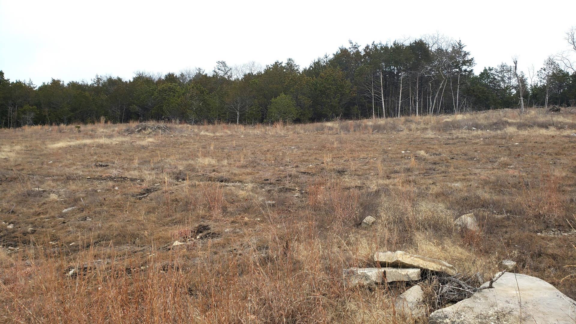 Overlook Lot 254 (2)