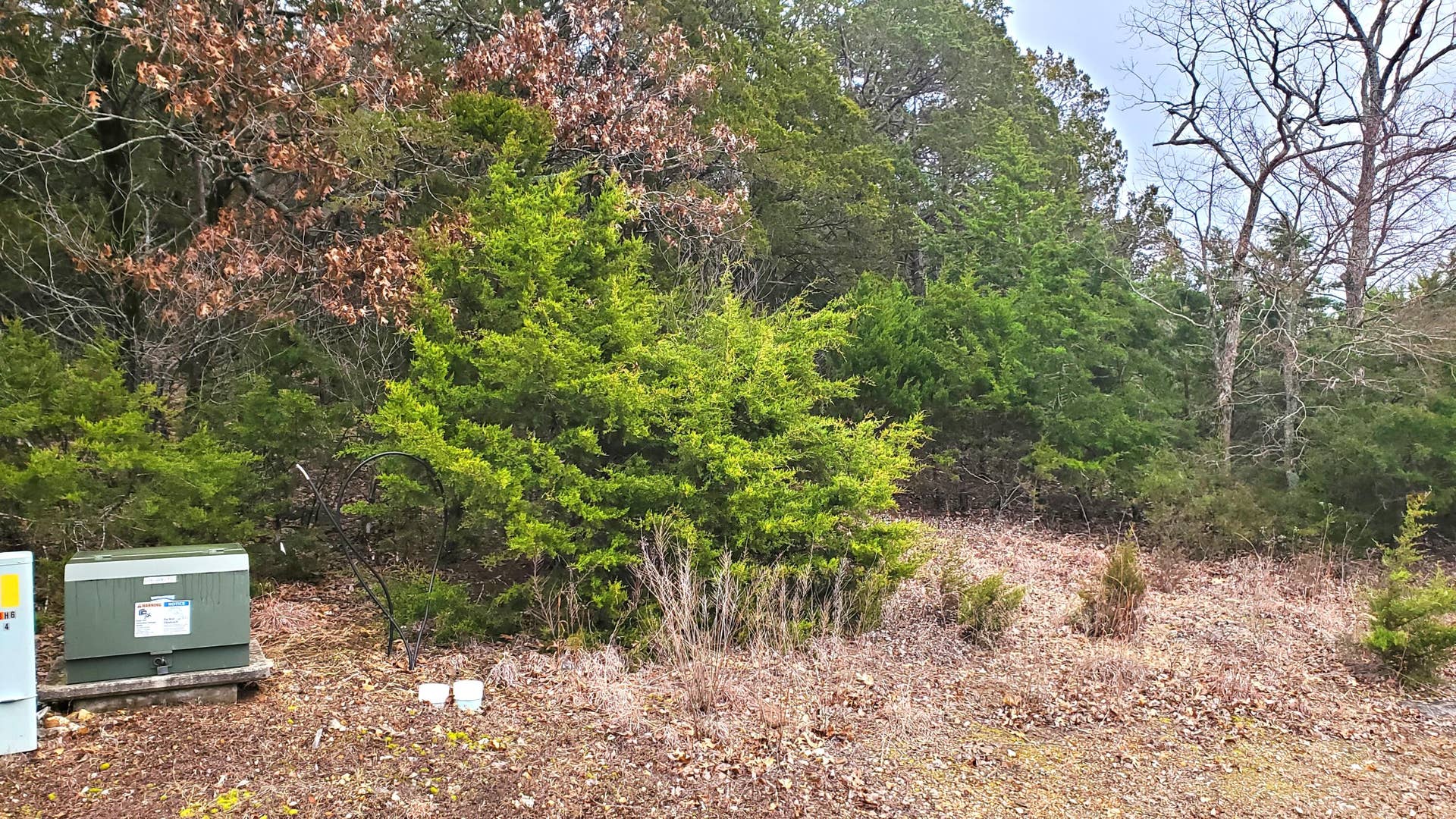 Overlook Lot 256