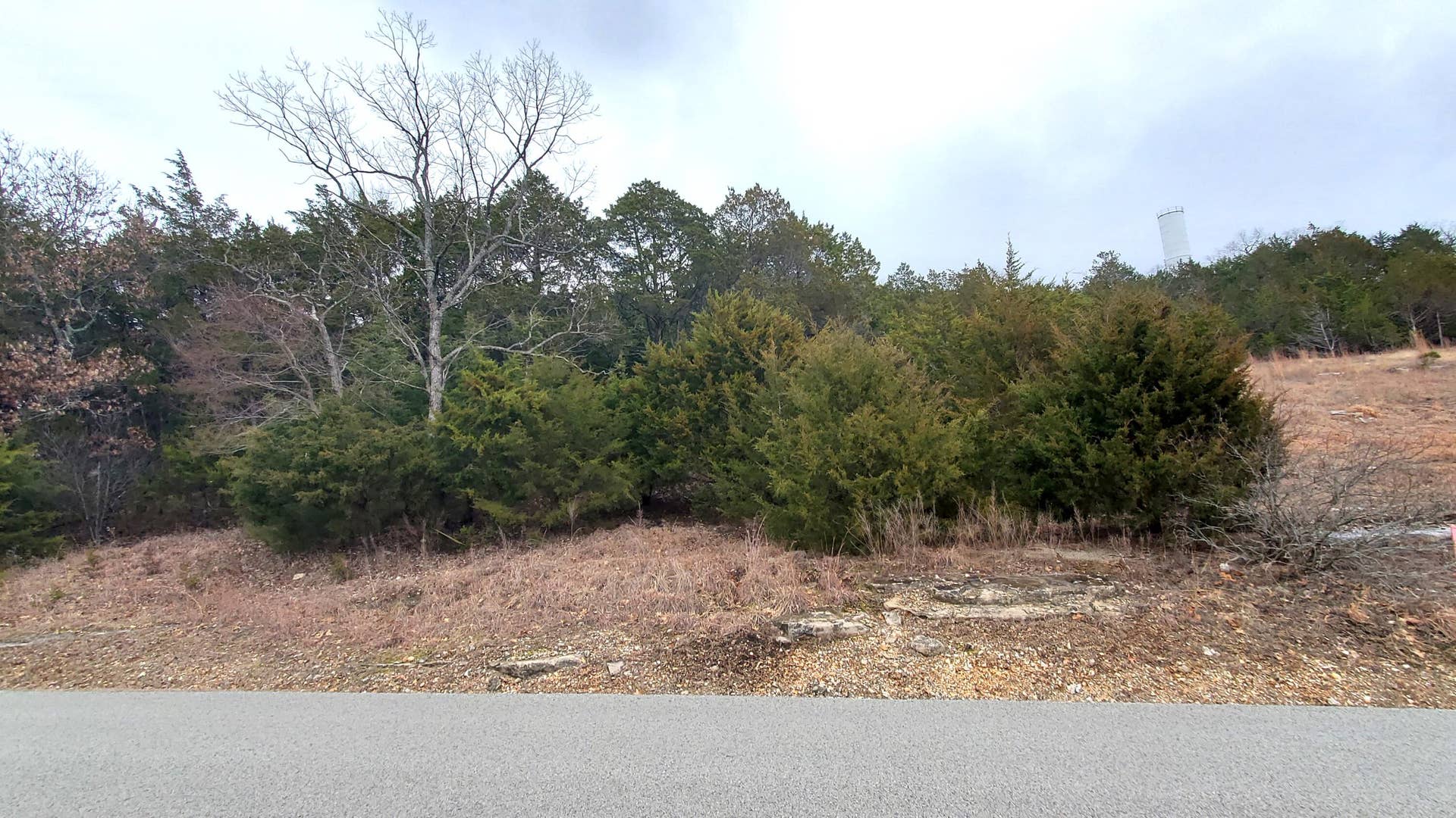 Overlook Lot 256 (2)