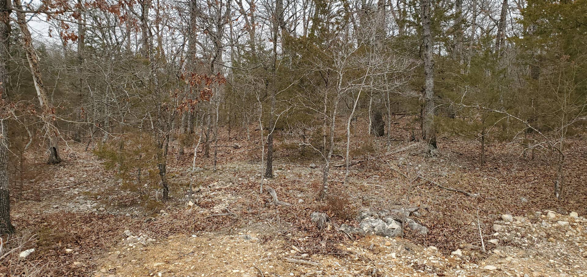 000 Lot 96 Summer Breeze Lane, Kimberling City, MO 65686 Overlook Lot 96 (2)