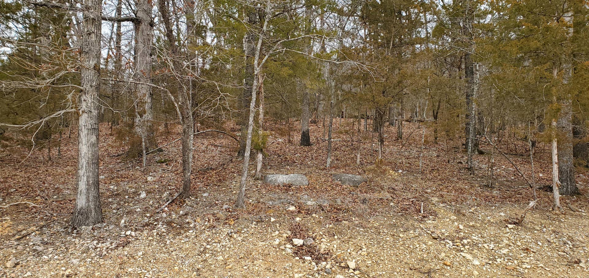 000 Lot 96 Summer Breeze Lane, Kimberling City, MO 65686 Overlook Lot 96