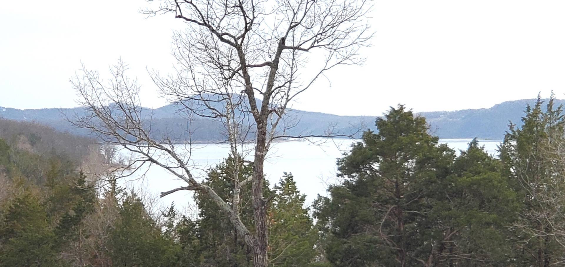 000 Lot 96 Summer Breeze Lane, Kimberling City, MO 65686 Overlook Lot 96 - Lake View Across the R