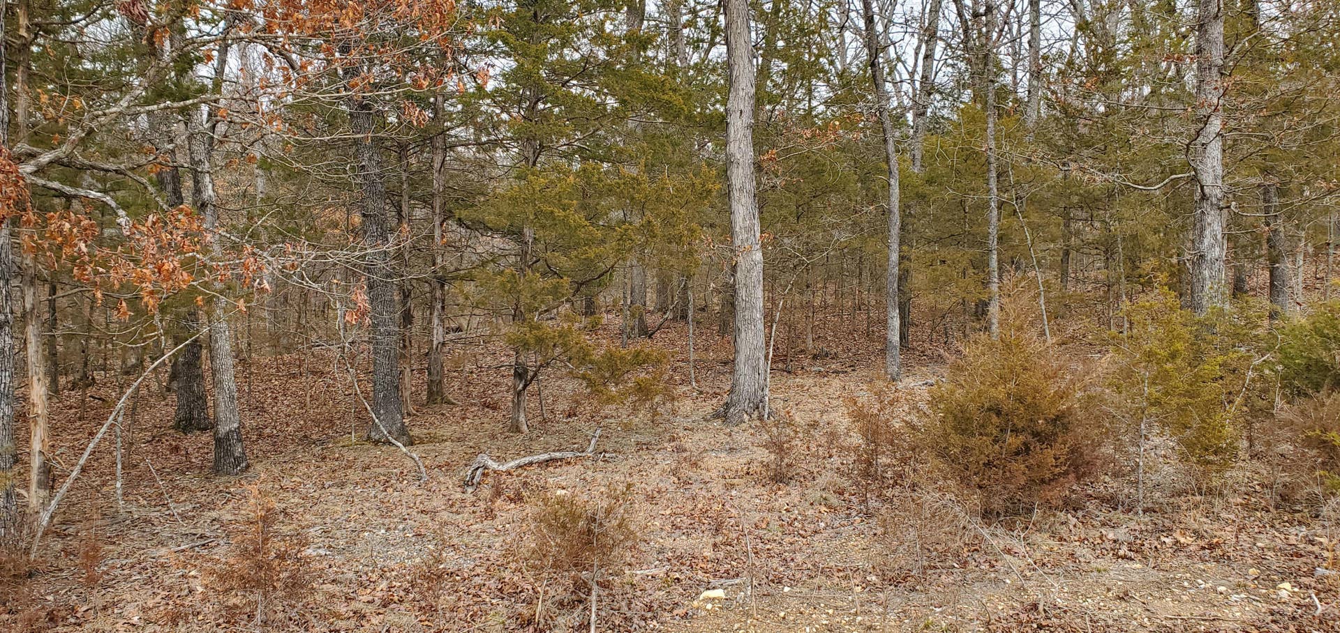 000 Lot 97 Summer Breeze Lane, Kimberling City, MO 65686 Overlook Lot 97 (2)