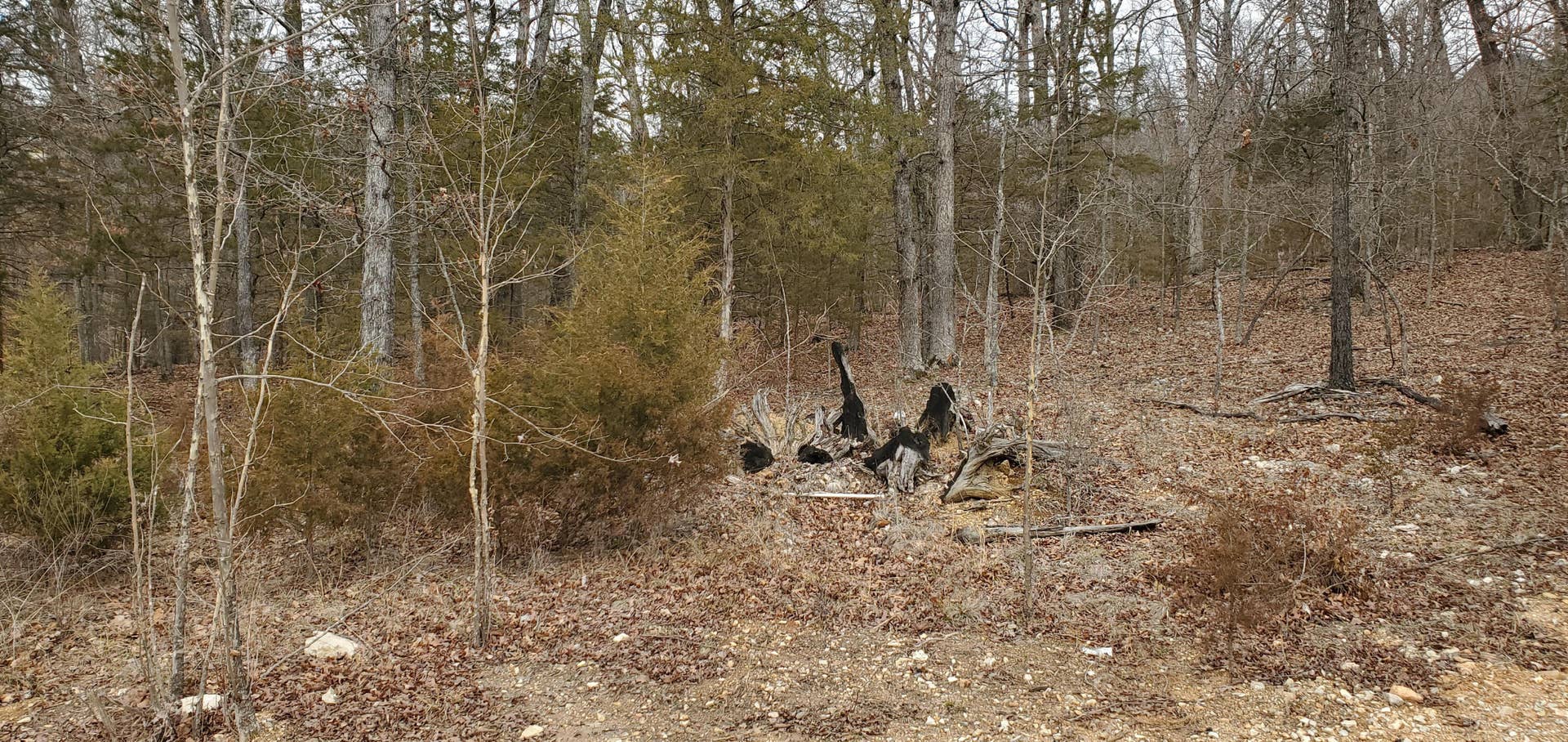 000 Lot 97 Summer Breeze Lane, Kimberling City, MO 65686 Overlook Lot 97
