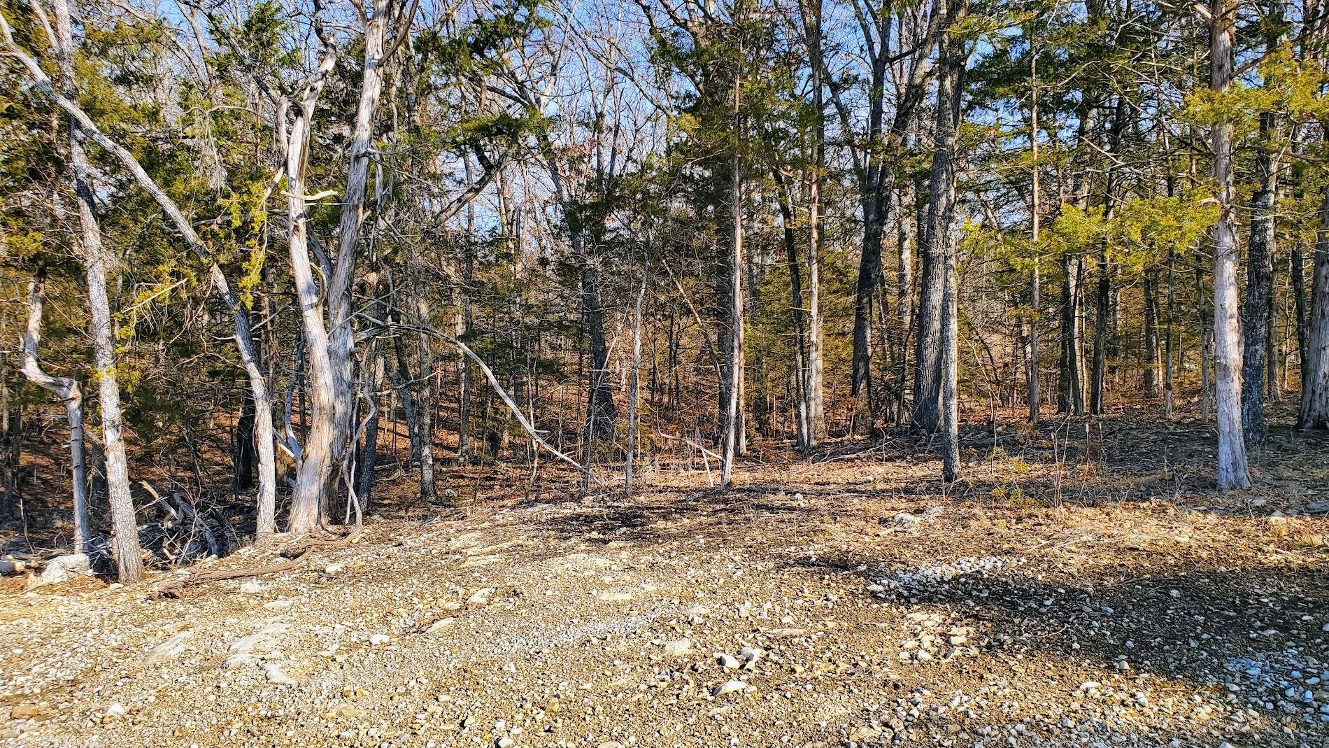 Overlook Lot 95 (2)