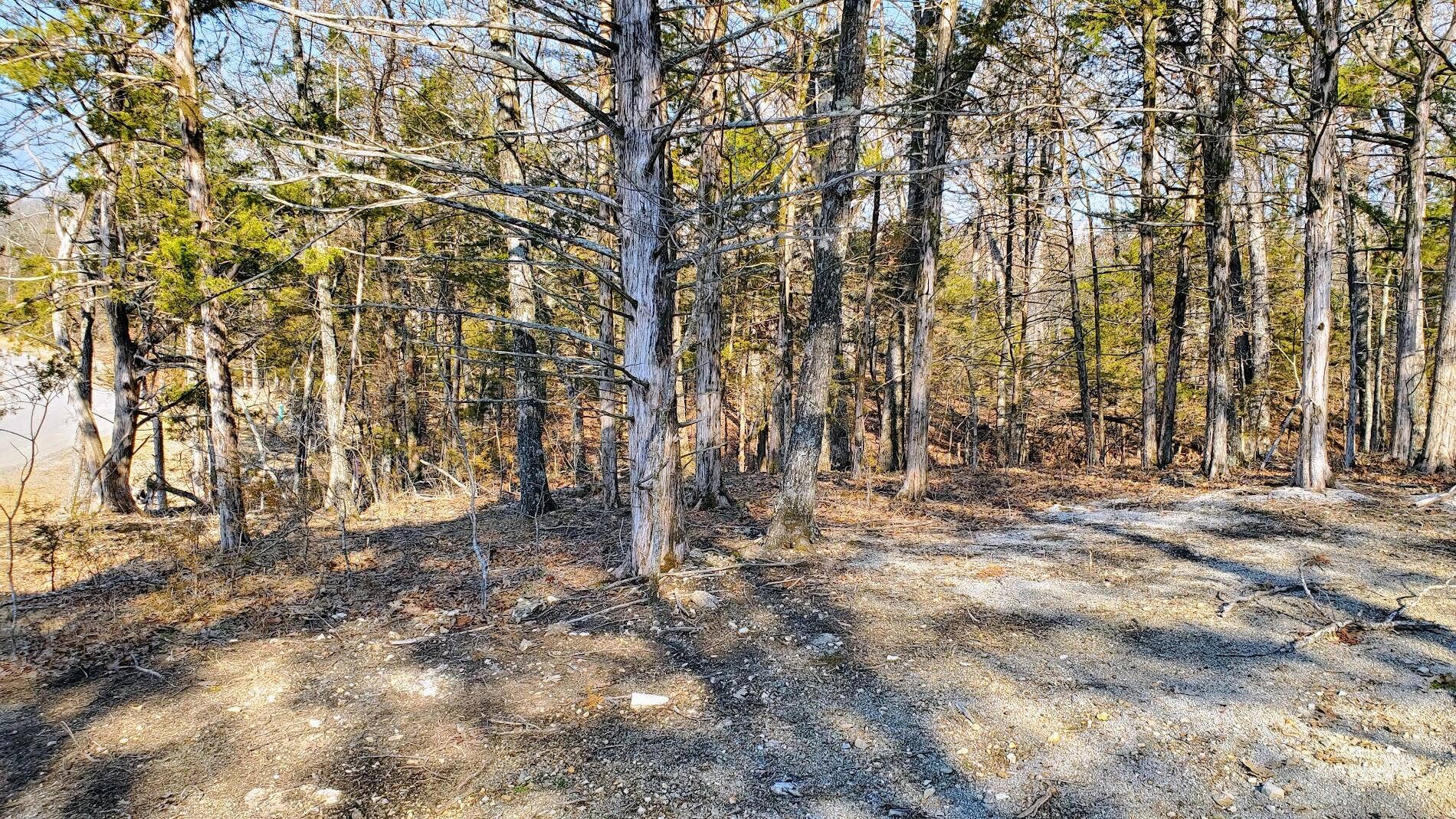 Overlook Lot 95