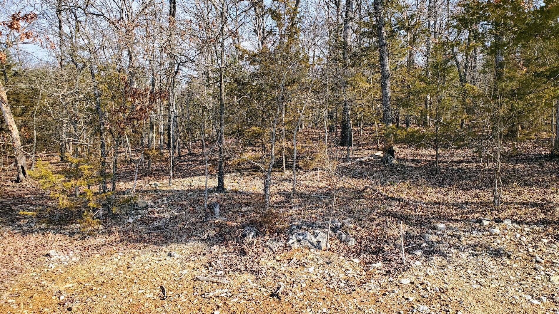 000 Lot 98 Summer Breeze Lane, Kimberling City, MO 65686 Overlook Lot 98 (2)