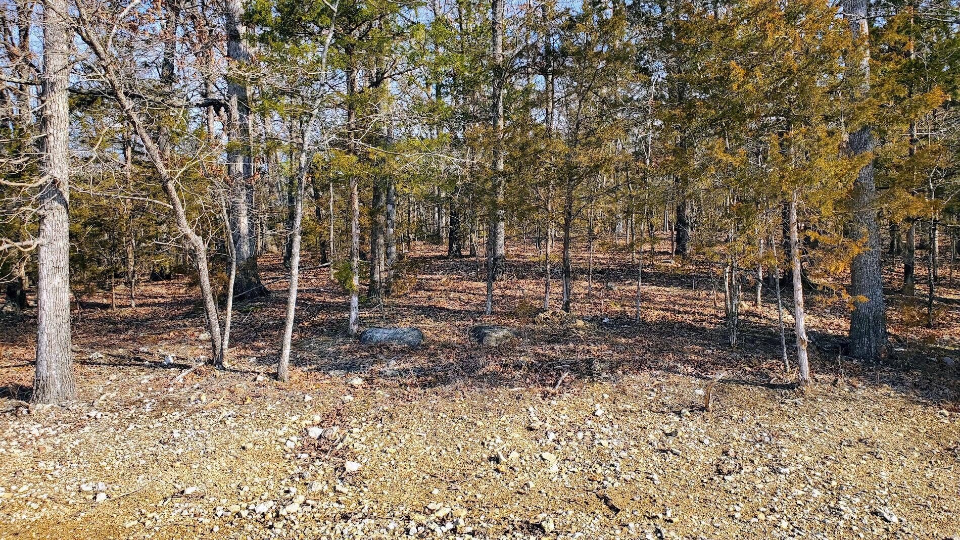 000 Lot 98 Summer Breeze Lane, Kimberling City, MO 65686 Overlook Lot 98
