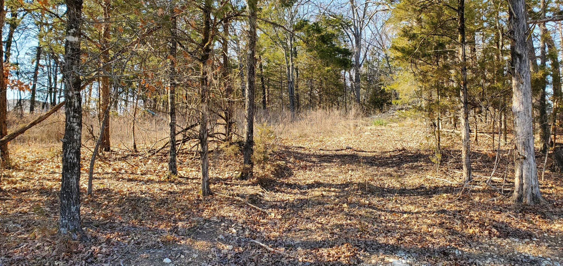 Overlook Lot 101