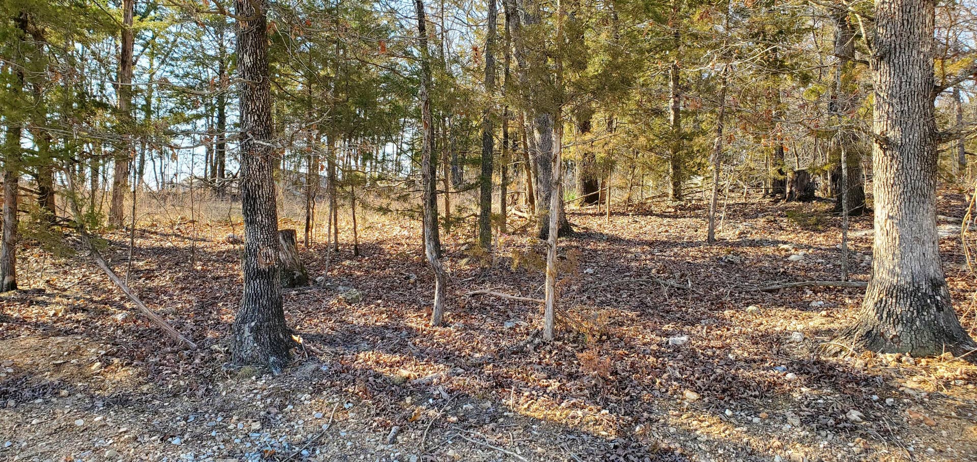 Overlook Lot 101 (2)