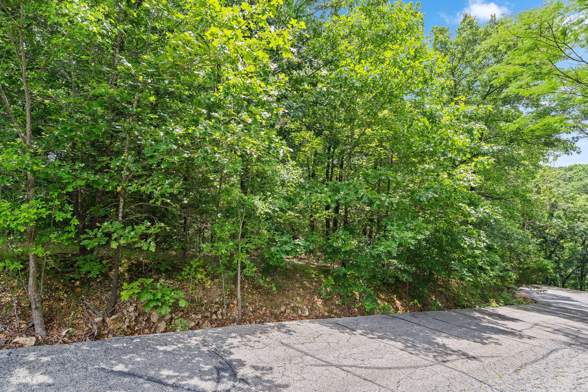Lot 23 Mcguire Drive, Kimberling City, MO 65686 Lot-23-McGuire-Dr-New-Build-Ready