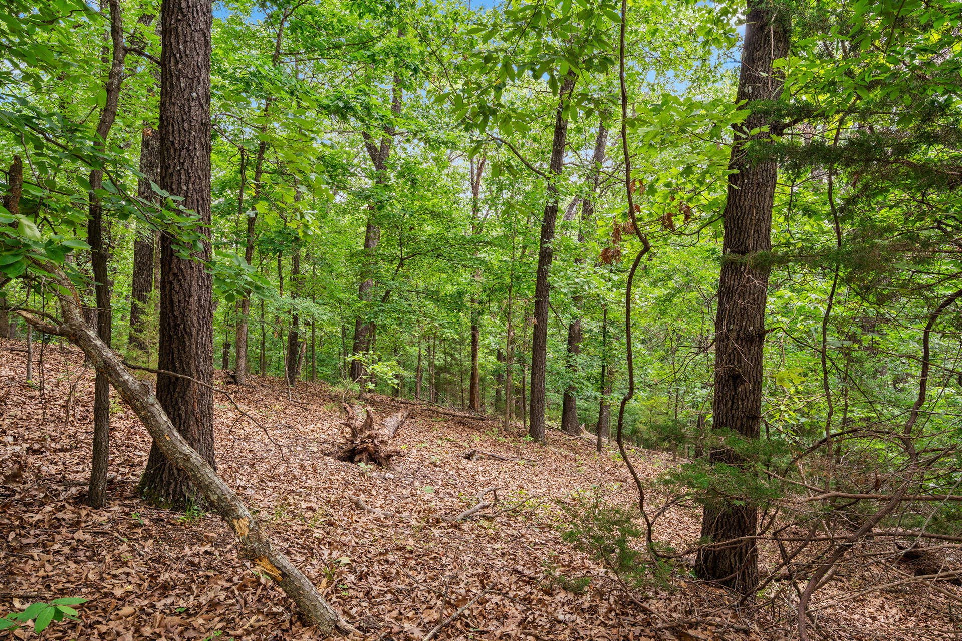 Lot 23 Mcguire Drive, Kimberling City, MO 65686 Lot-23-McGuire-Dr-Branson-Build-Site