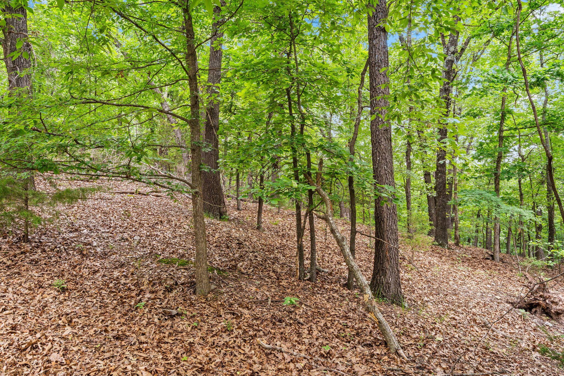 Lot 23 Mcguire Drive, Kimberling City, MO 65686 Lot-23-McGuire-Dr-Build-by-the-Lake