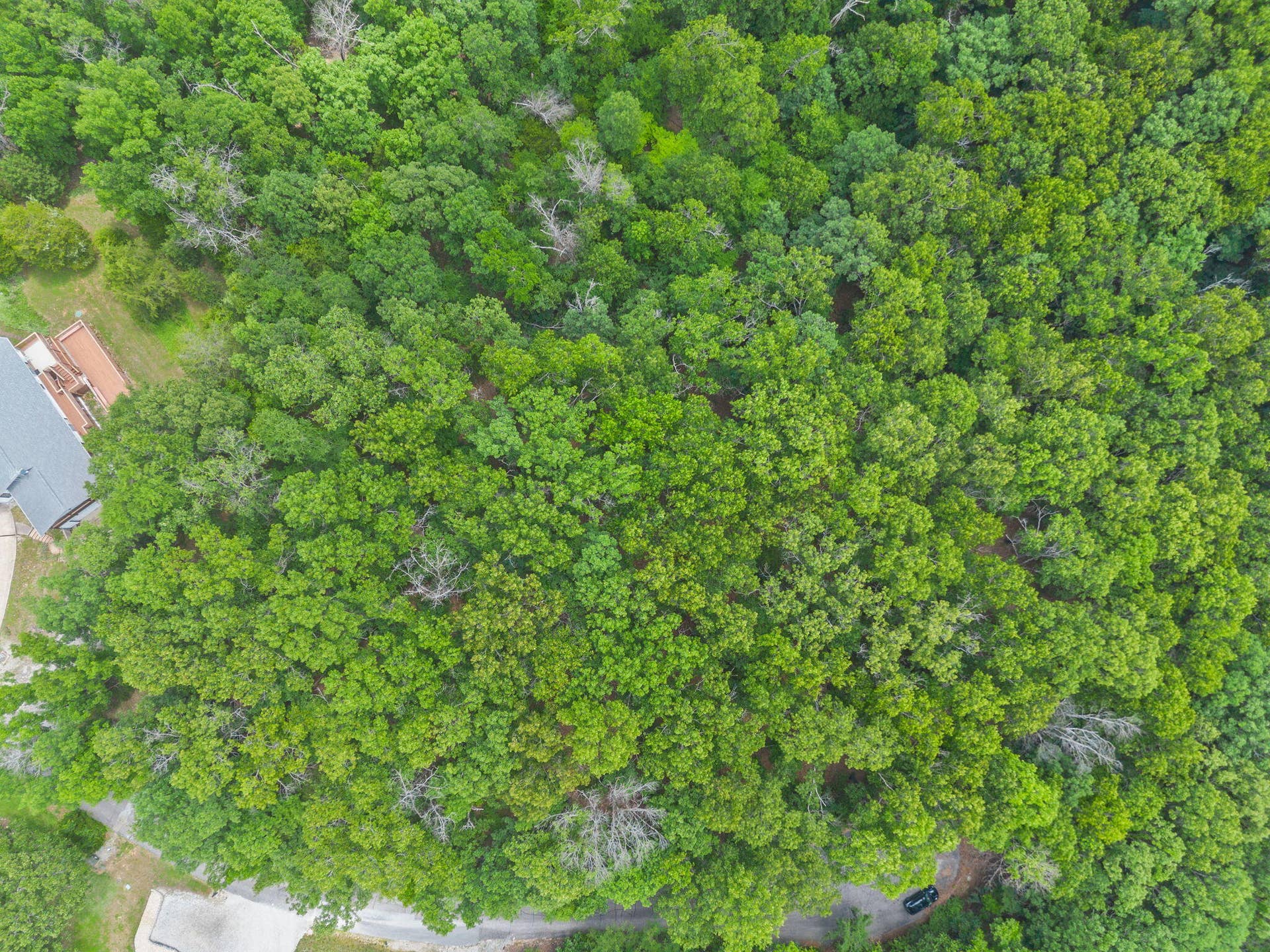 Lot 23 Mcguire Drive, Kimberling City, MO 65686 Lot-23-McGuire-Dr-Ready-to-Build