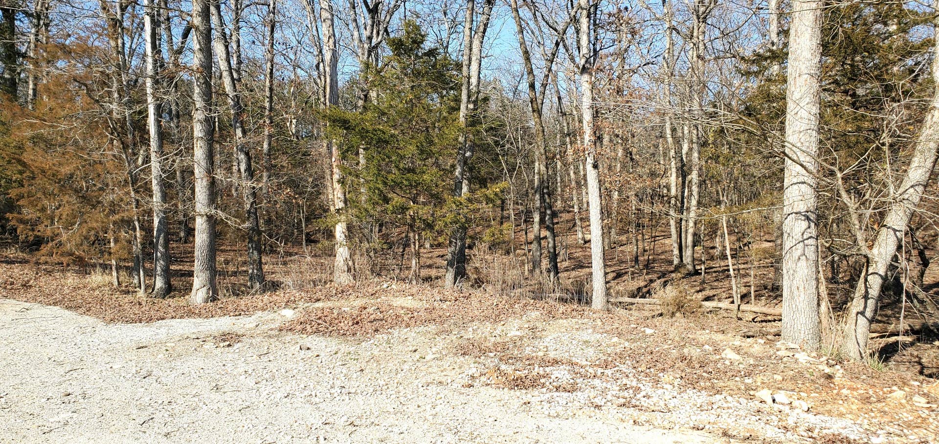 000 Lot 99 Summer Breeze Lane, Kimberling City, MO 65686 Overlook Lot 99 (2)