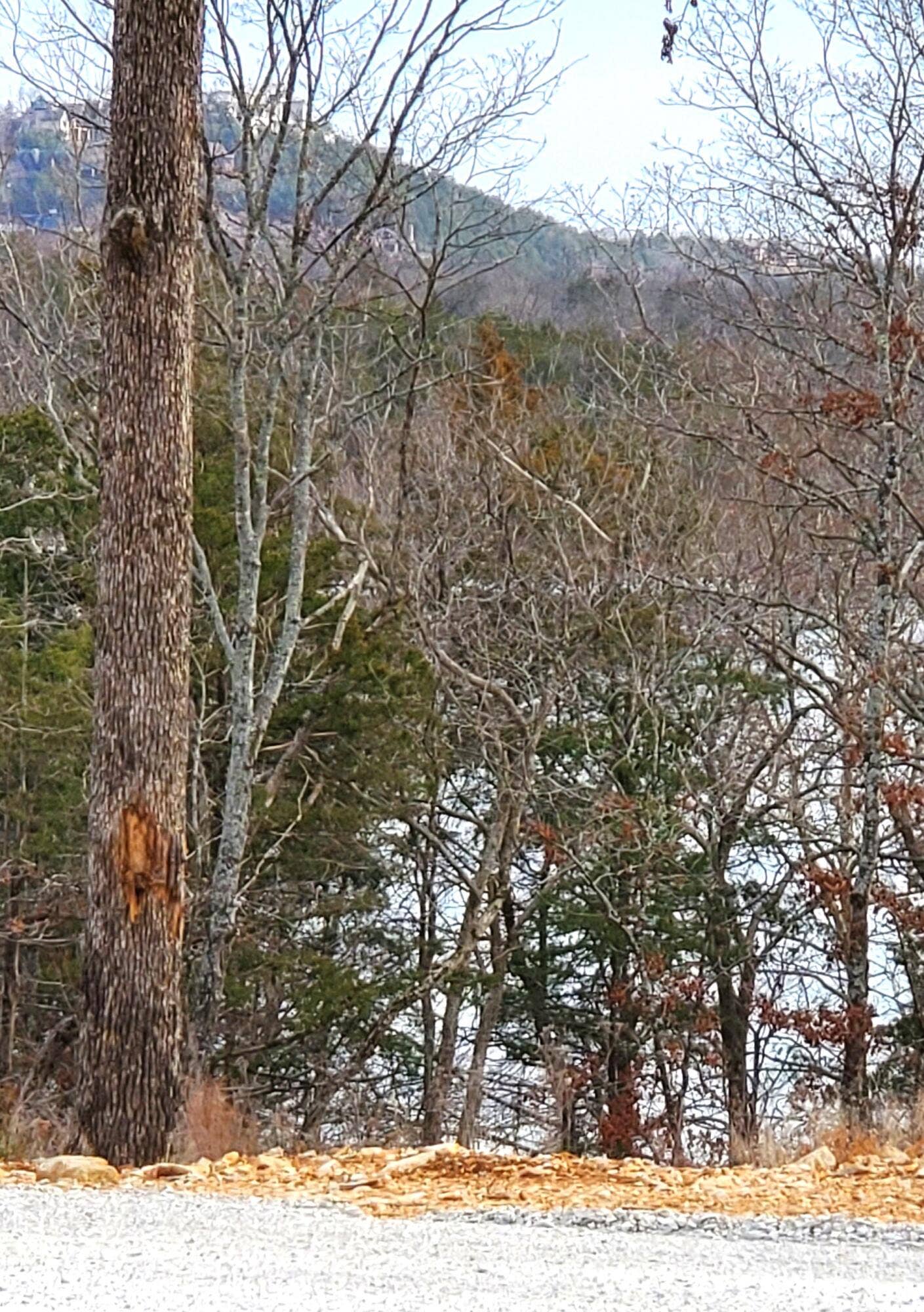 000 Lot 99 Summer Breeze Lane, Kimberling City, MO 65686 Overlook Lot 99 - Lake View Across the R