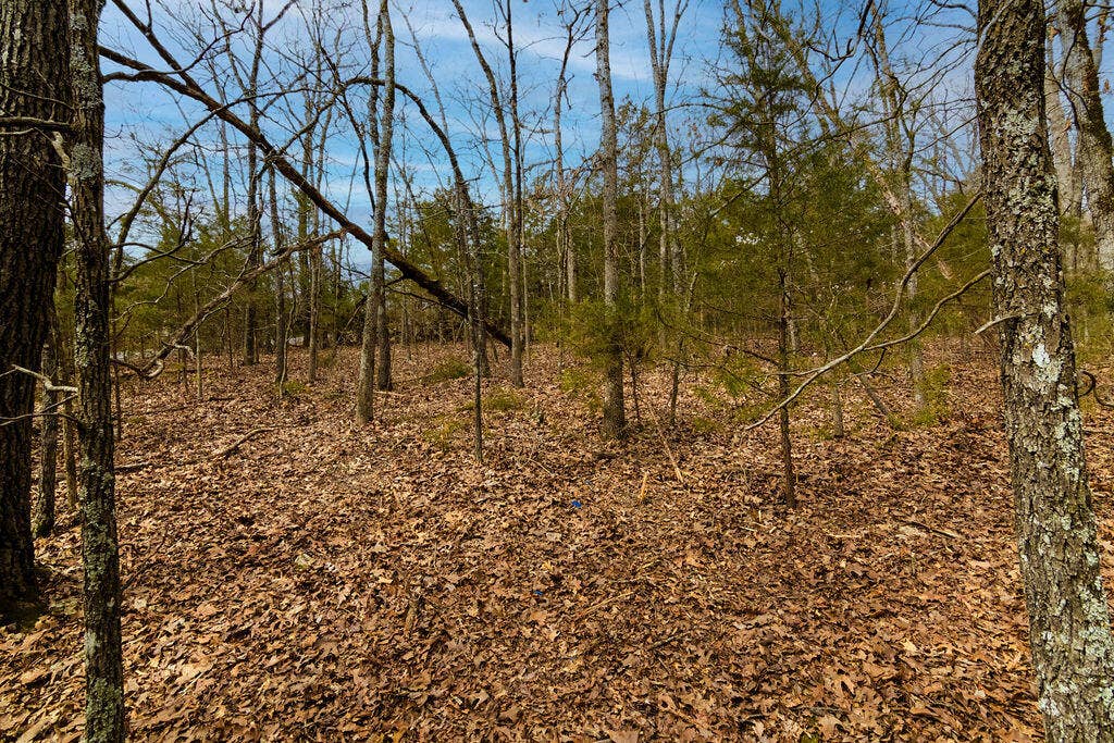 Lot 28 Crossing Drive, Branson West, MO 65737 Lot28CrossingLaneBransonWestMO-7