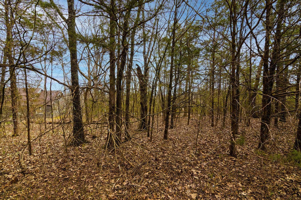 Lot 28 Crossing Drive, Branson West, MO 65737 Lot28CrossingLaneBransonWestMO-6