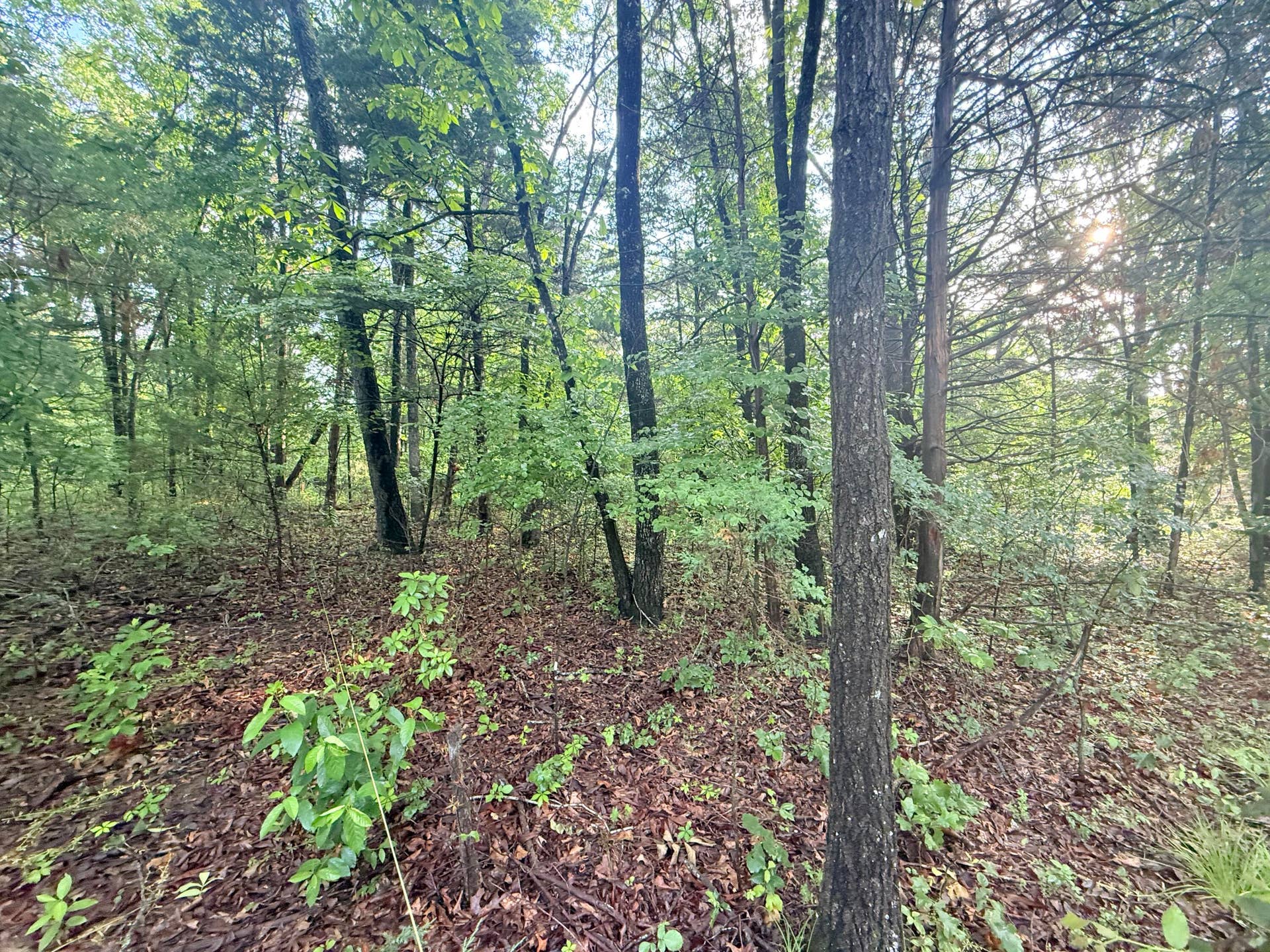 Lot 17, 18 Joe Bald Road, Kimberling City, MO 65686 Lot