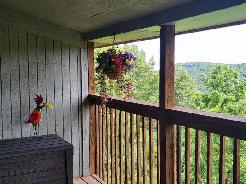 388 Notch Lane, #12, Branson West, MO 65737 Relax & Enjoy