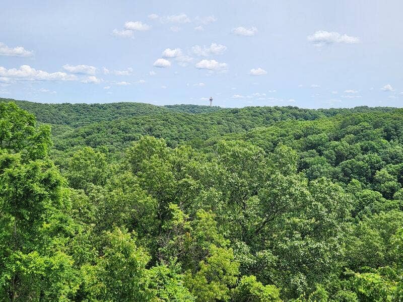 388 Notch Lane, #12, Branson West, MO 65737 You Can See Forever