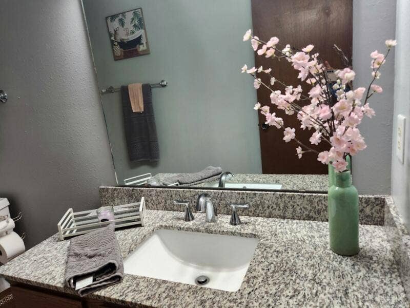 388 Notch Lane, #12, Branson West, MO 65737 Primary Bath
