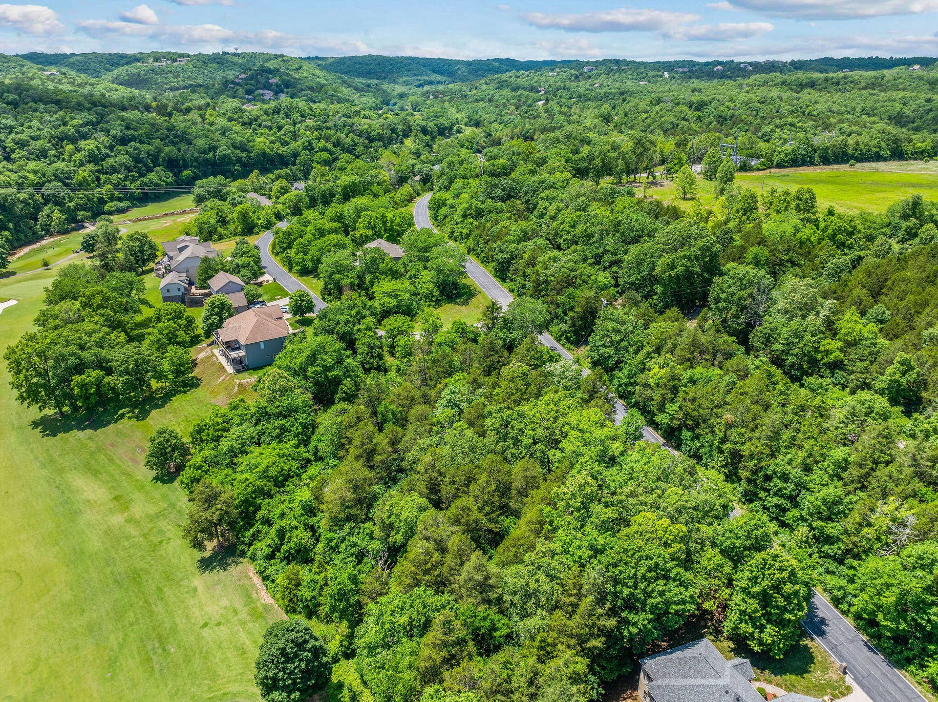 000 Lot 8 Forest Lake 2nd Add, Branson West, MO 65737 Lot 8 Forest Lake 2nd Add (4)