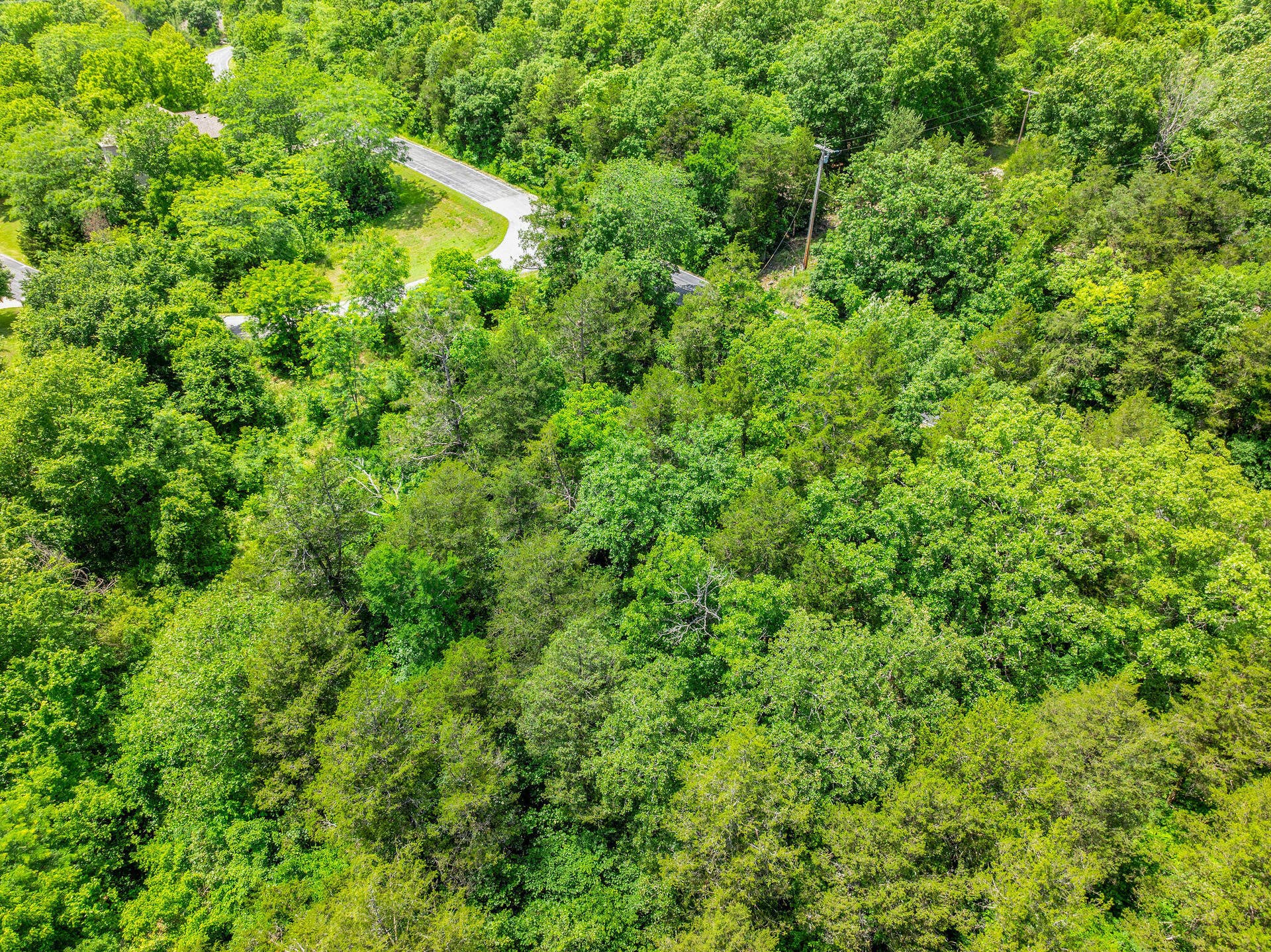 000 Lot 8 Forest Lake 2nd Add, Branson West, MO 65737 Lot 8 Forest Lake 2nd Add (8)