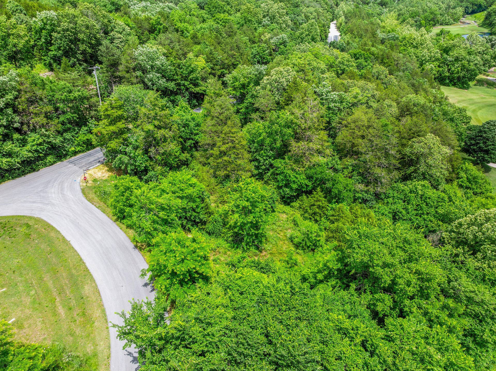 000 Lot 8 Forest Lake 2nd Add, Branson West, MO 65737 Lot 8 Forest Lake 2nd Add (10)