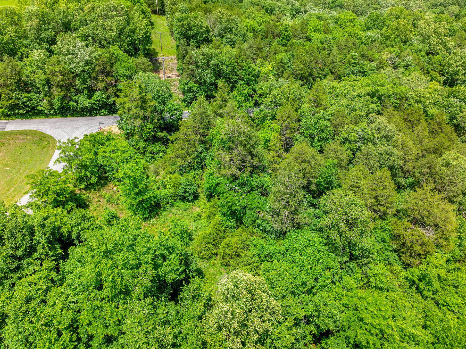 000 Lot 8 Forest Lake 2nd Add, Branson West, MO 65737 Lot 8 Forest Lake 2nd Add (9)