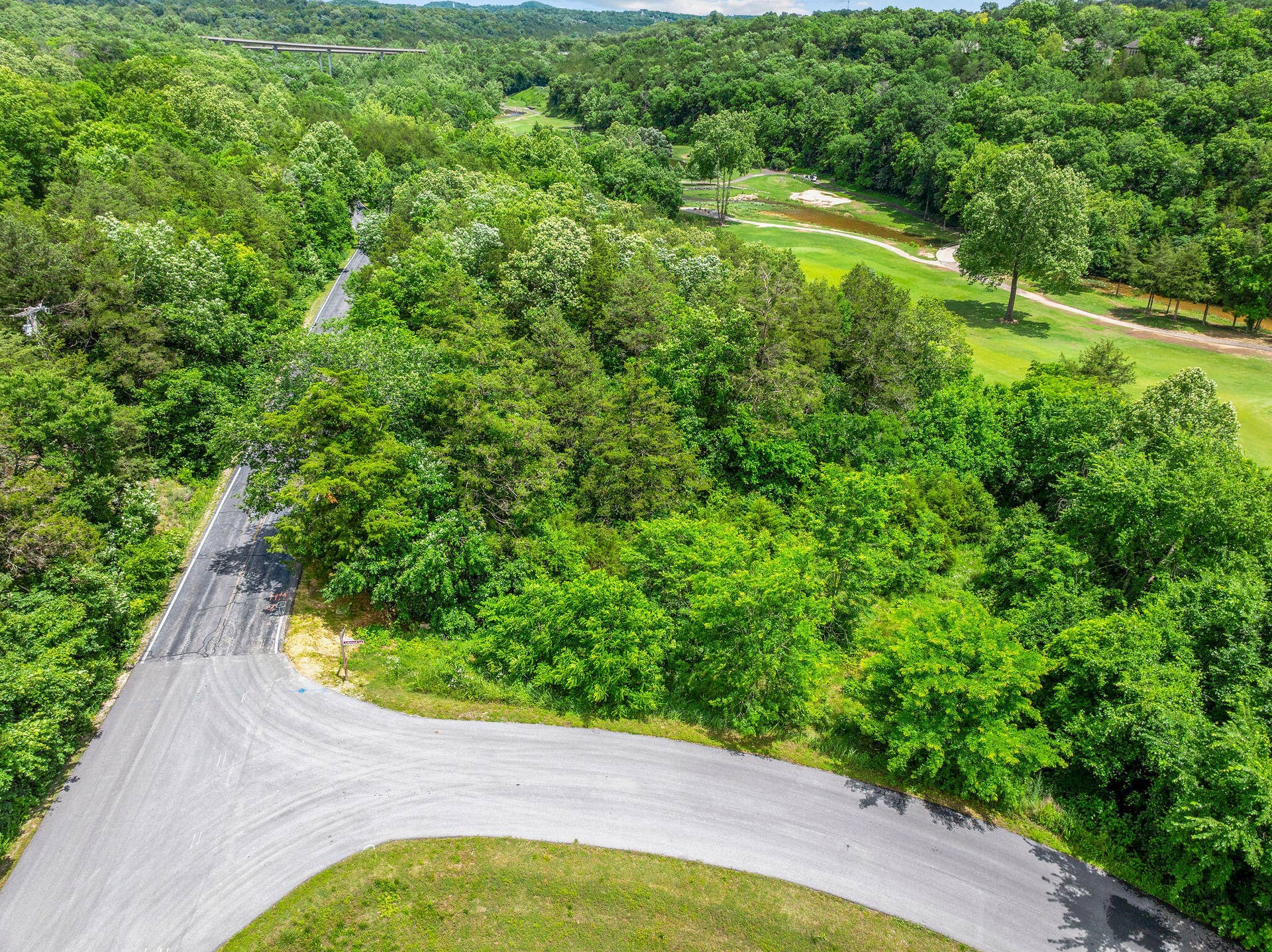 000 Lot 8 Forest Lake 2nd Add, Branson West, MO 65737 Lot 8 Forest Lake 2nd Add (11)
