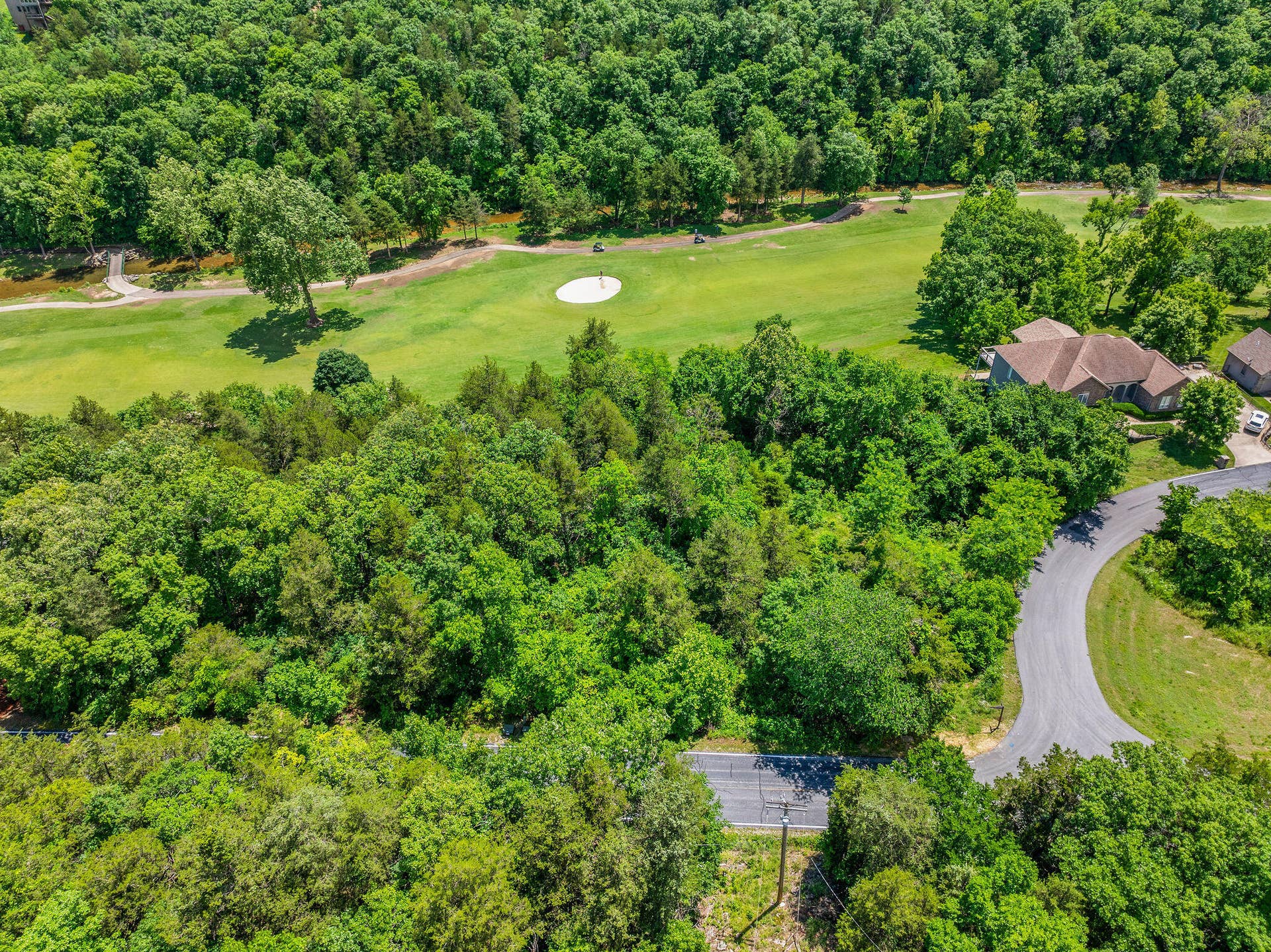 000 Lot 8 Forest Lake 2nd Add, Branson West, MO 65737 Lot 8 Forest Lake 2nd Add (1)