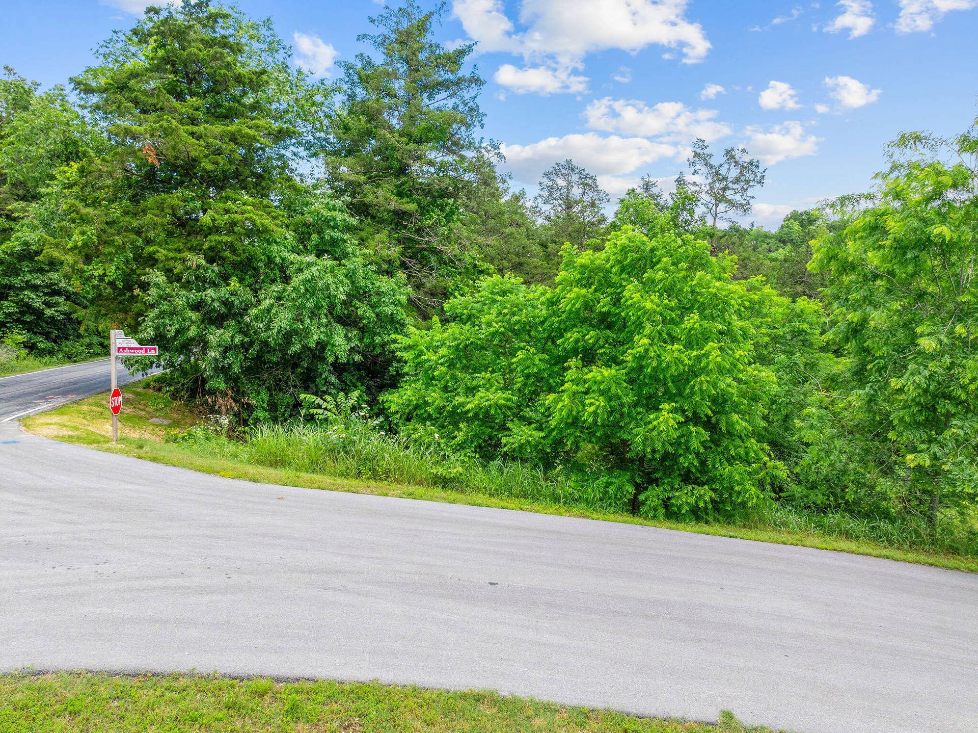 000 Lot 8 Forest Lake 2nd Add, Branson West, MO 65737 Lot 8 Forest Lake 2nd Add (14)