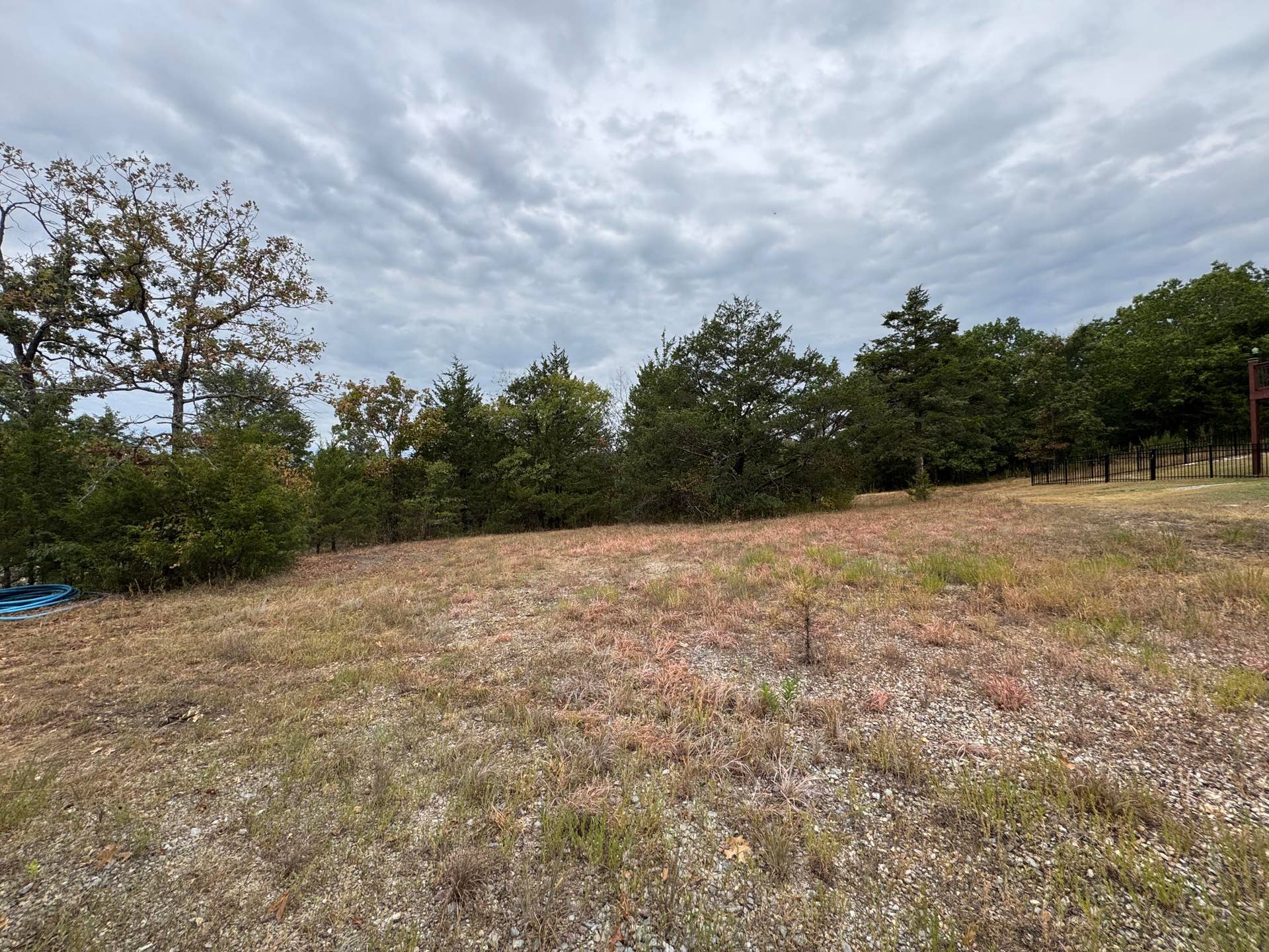 000 Forest Lake Dr Lot 102, Branson West, MO 65737 IMG_9687