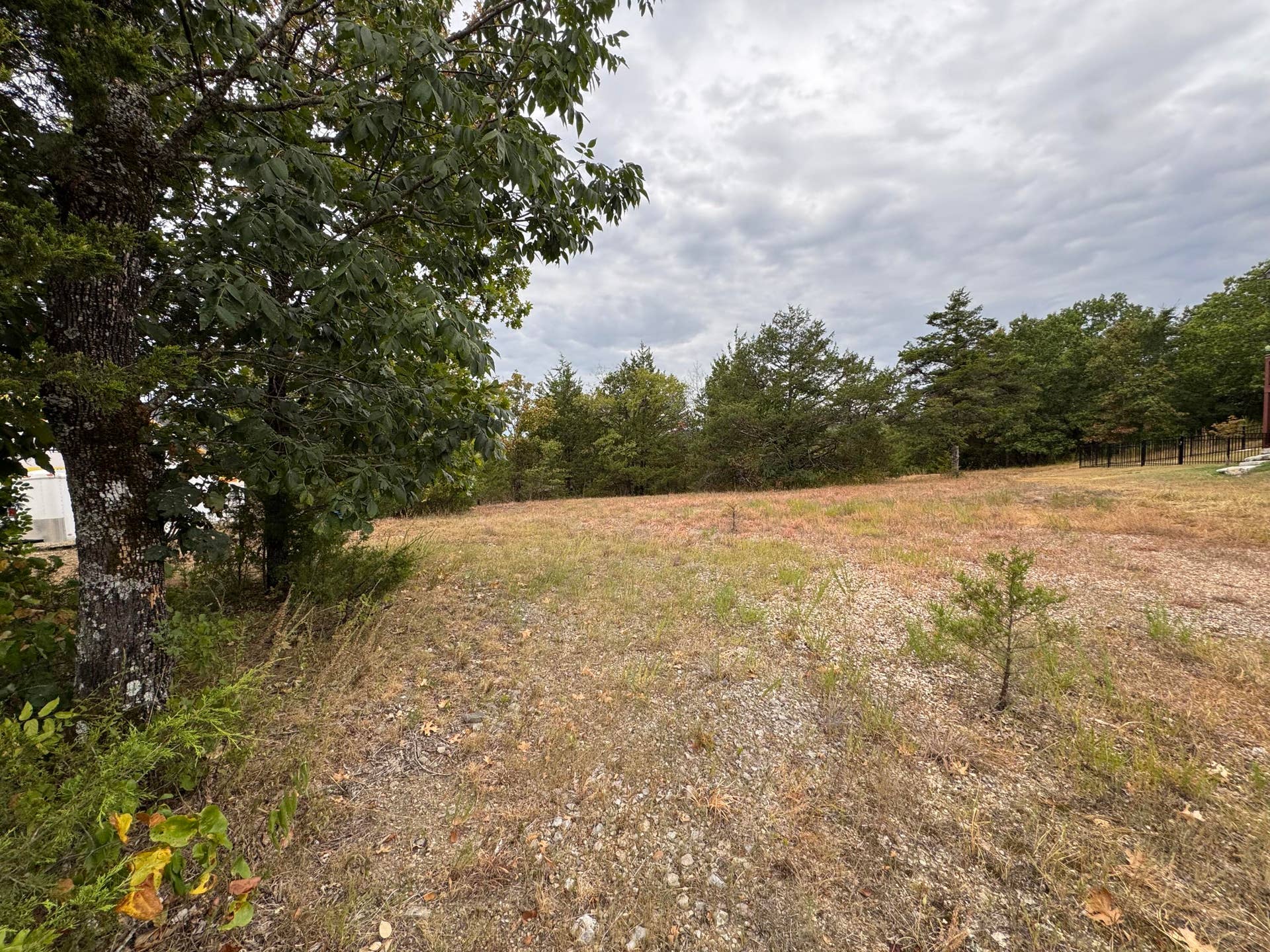 000 Forest Lake Dr Lot 102, Branson West, MO 65737 IMG_9686
