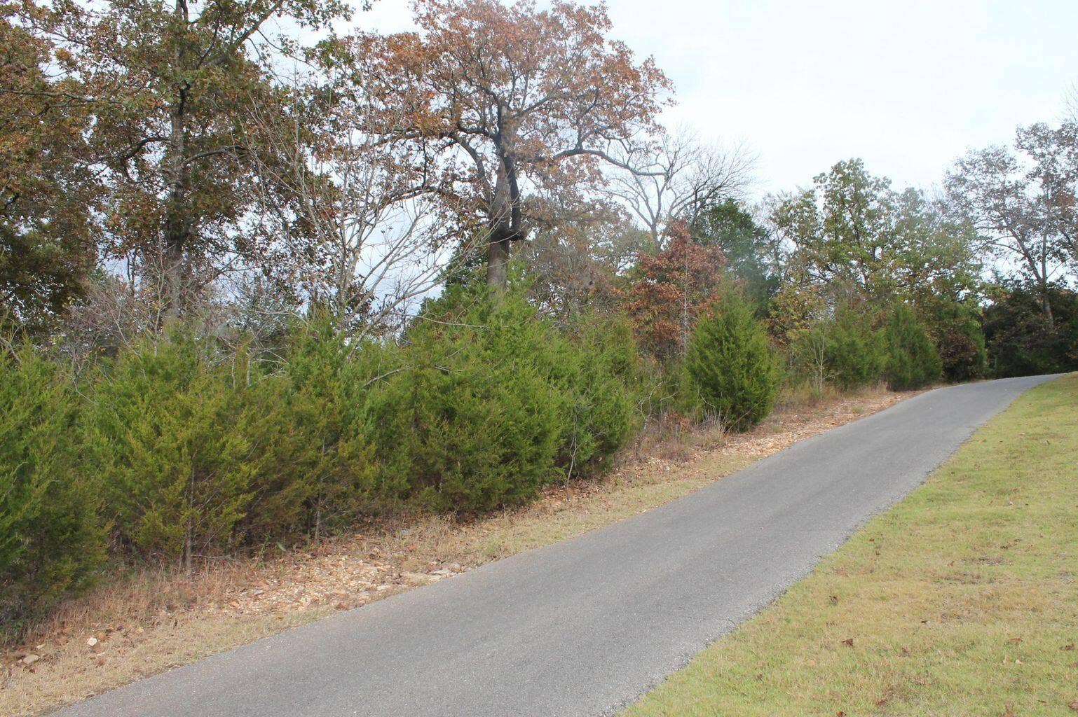 Lot and Golf cart path