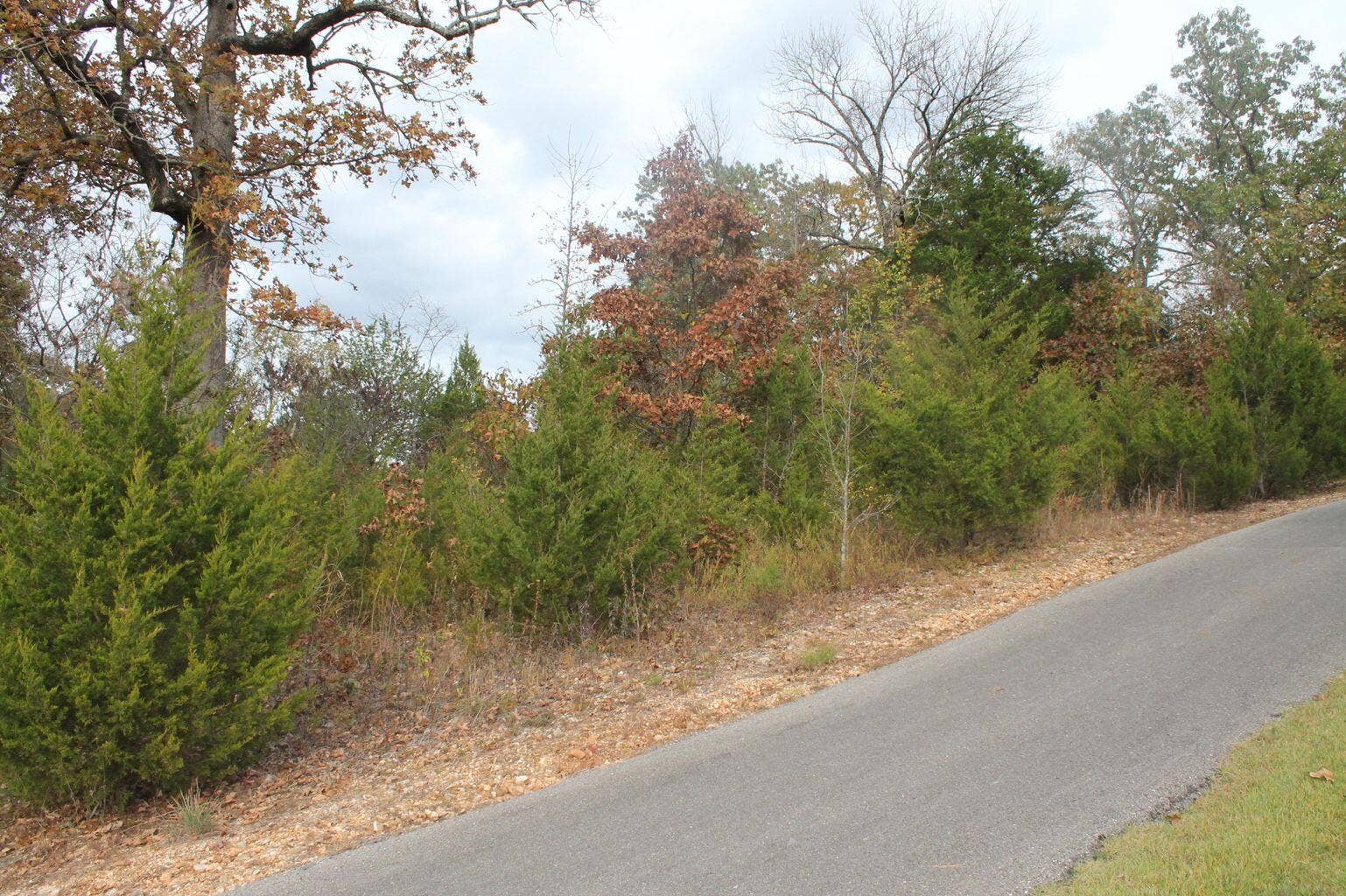Lot next to Golf cart path