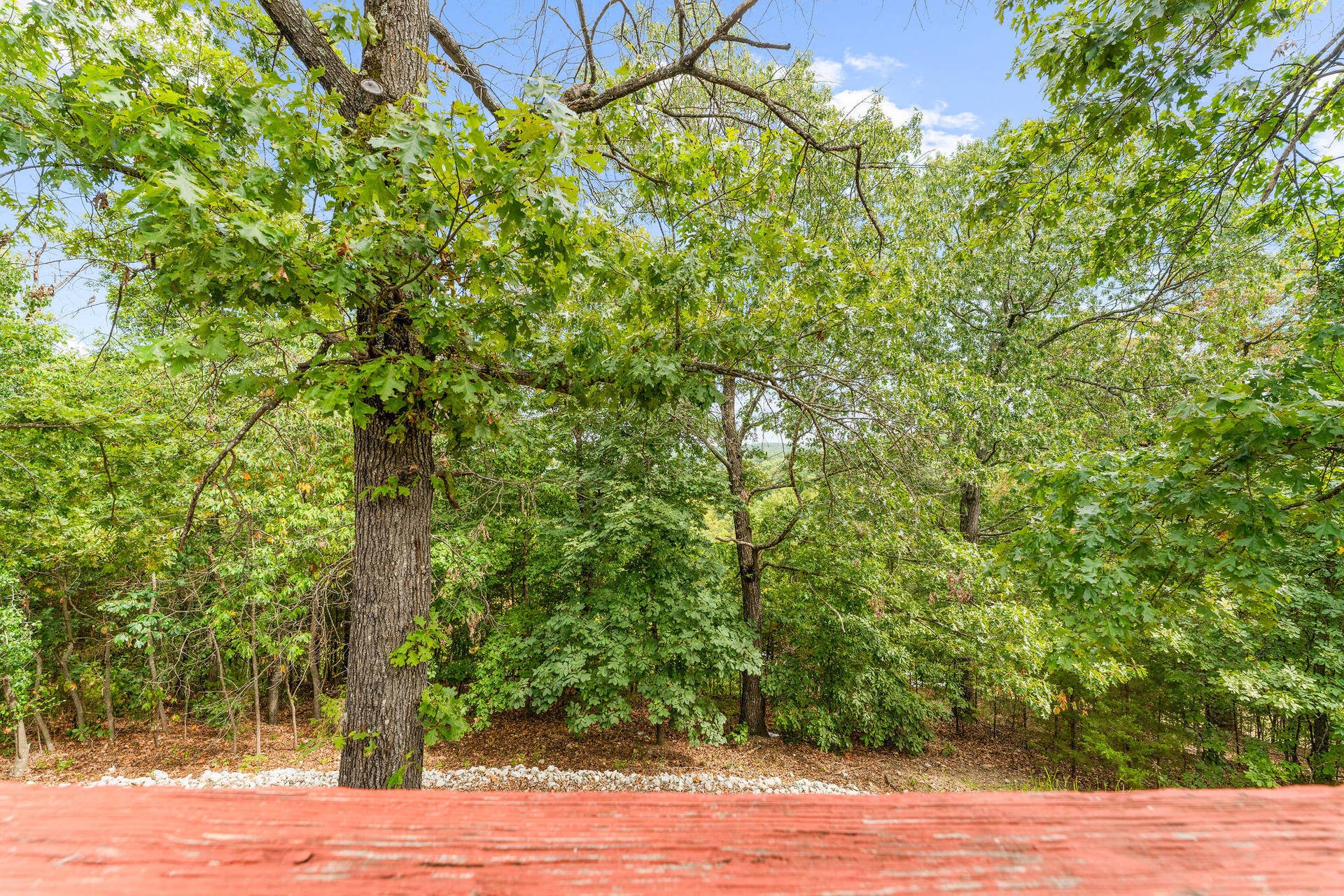 276 Notch Lane, #2, Branson West, MO 65737 DSC06326