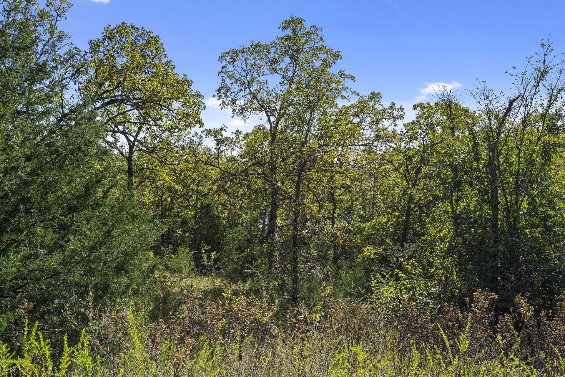 Lot 312 Weatherstone Drive, Reeds Spring, MO 65737 Table Rock Lakefront Build Site
