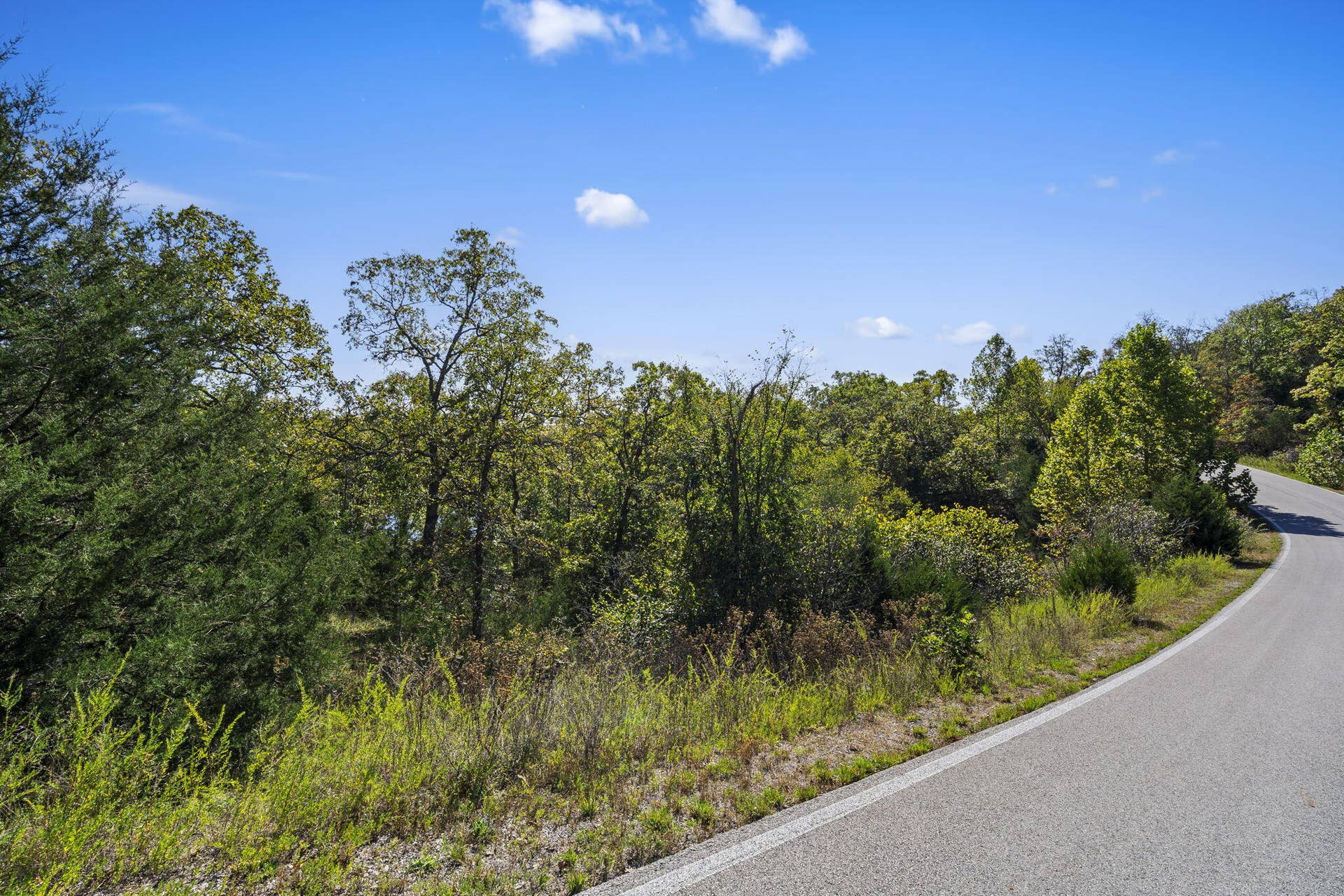 Lot 312 Weatherstone Drive, Reeds Spring, MO 65737 Table Rock Lakefront Build Site