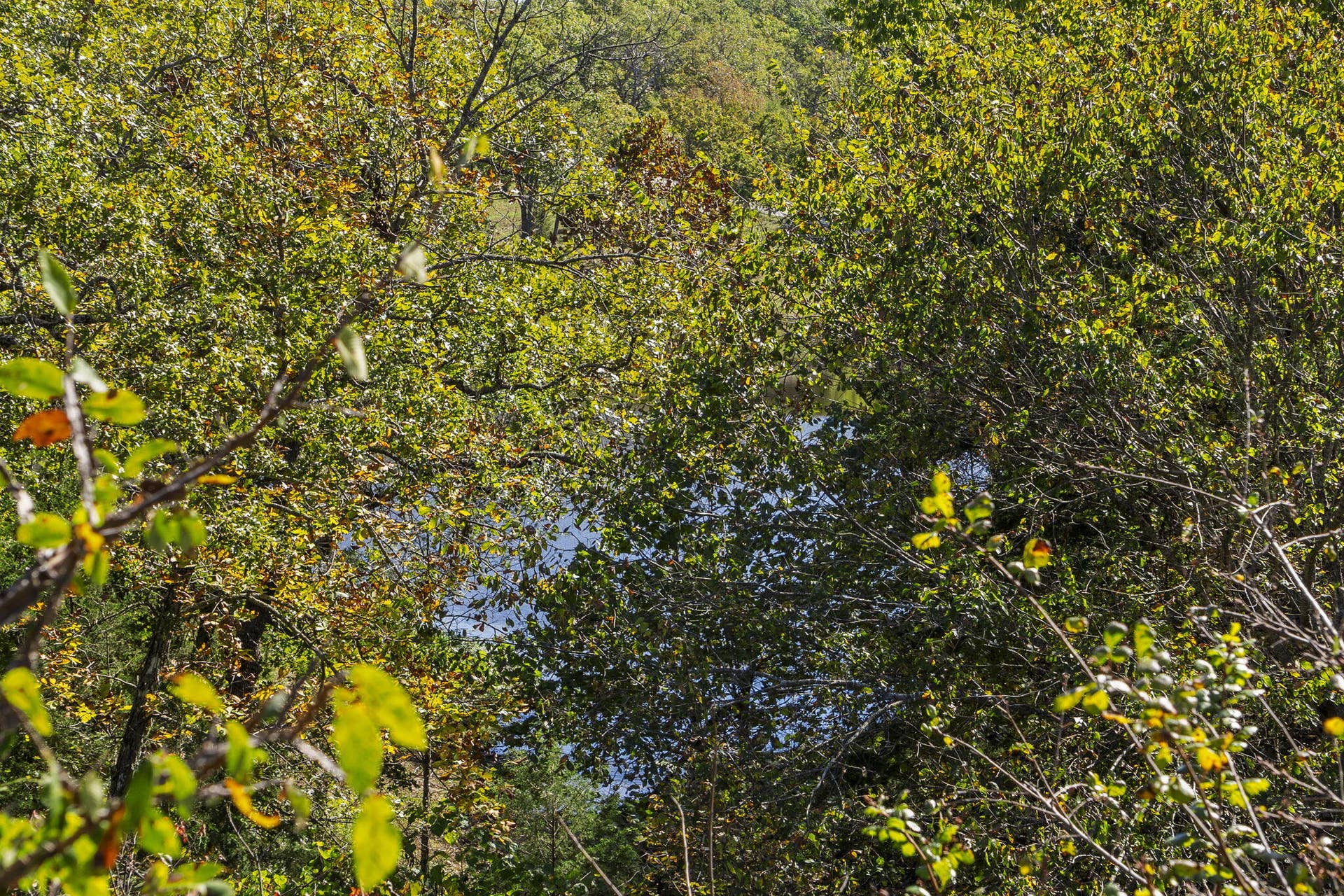 Lot 312 Weatherstone Drive, Reeds Spring, MO 65737 Table Rock Lakefront Build Site