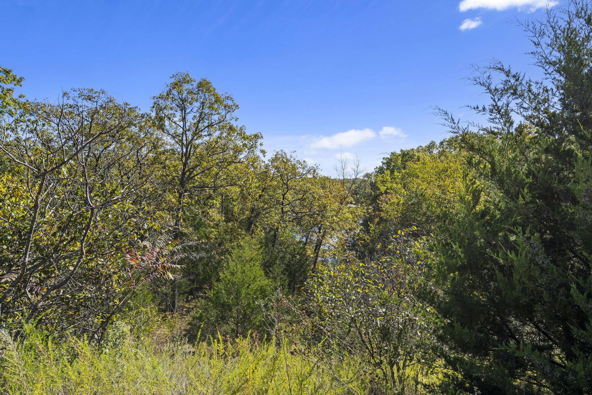 Lot 312 Weatherstone Drive, Reeds Spring, MO 65737 Table Rock Lakefront Build Site
