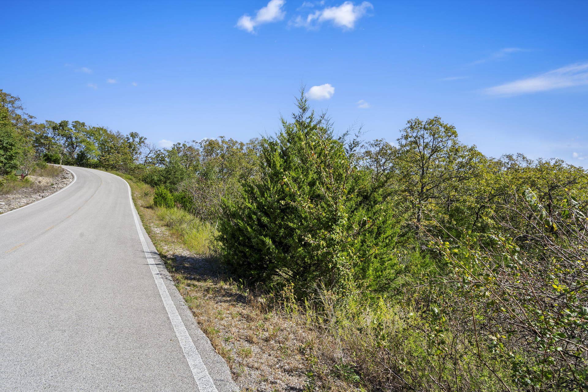 Lot 312 Weatherstone Drive, Reeds Spring, MO 65737 Table Rock Lakefront Build Site