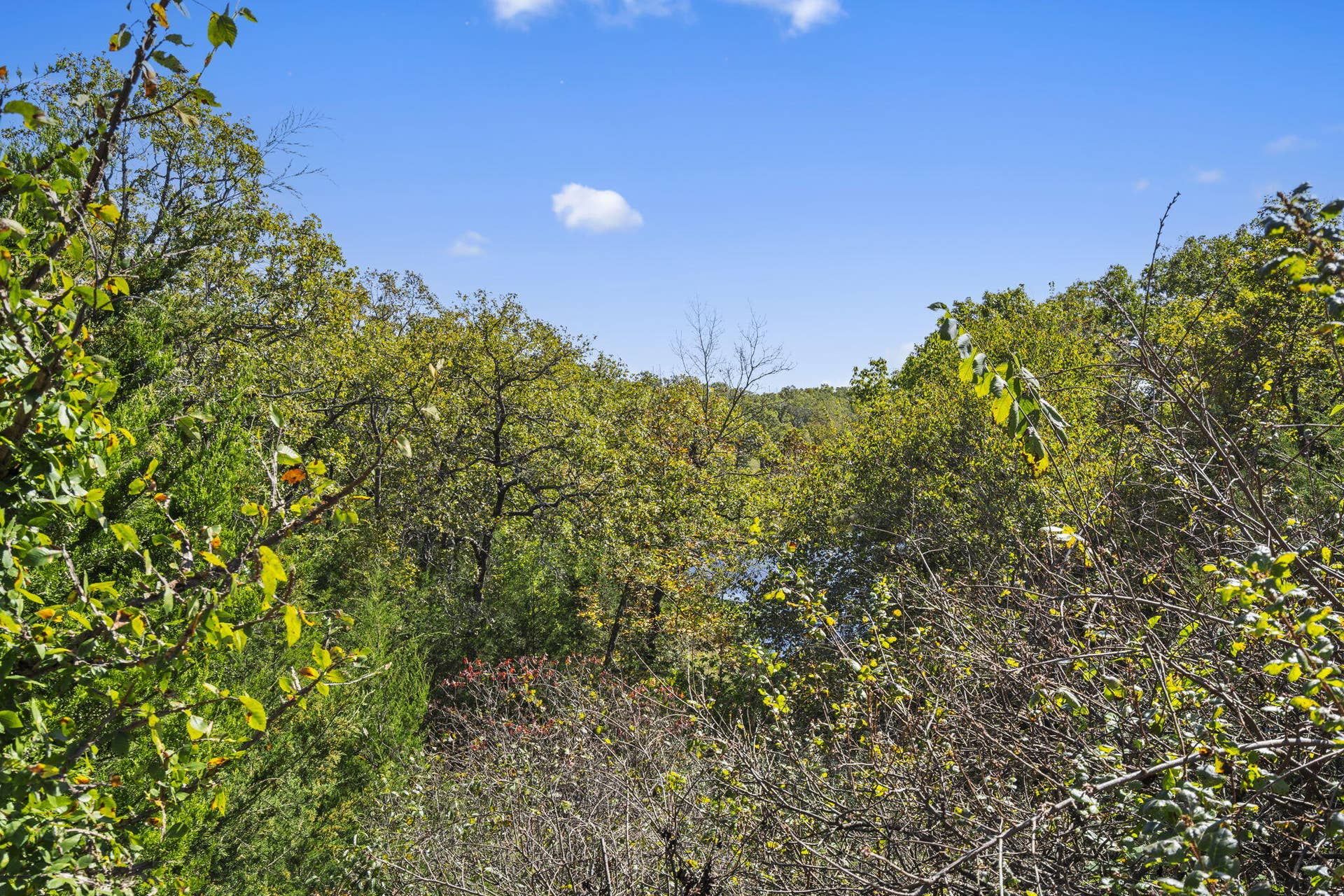 Lot 312 Weatherstone Drive, Reeds Spring, MO 65737 Table Rock Lakefront Build Site