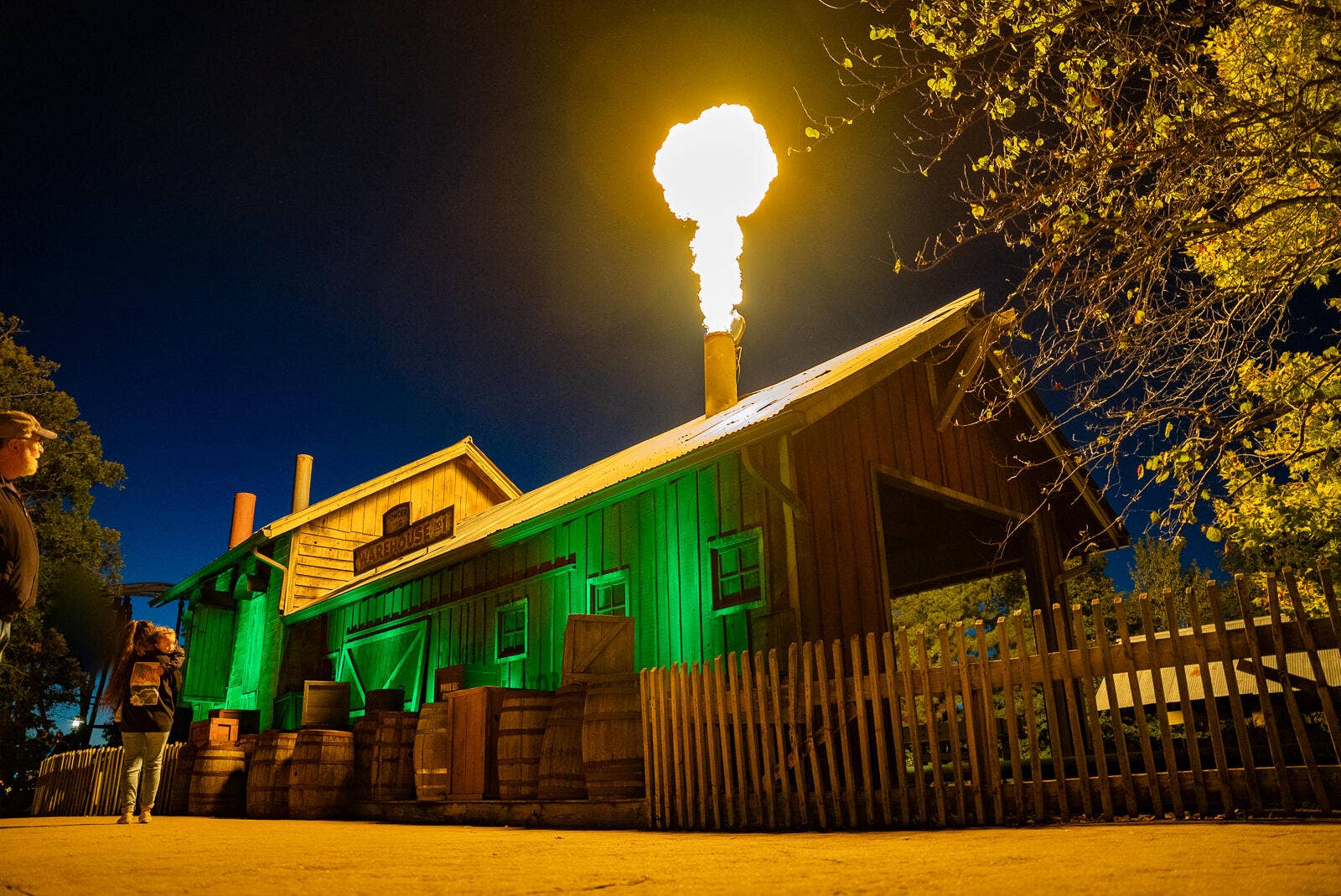 20231007-DSC06668-10