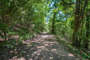 thumbnail-a6d53300-51d2-477d-a7db-ba9bfa