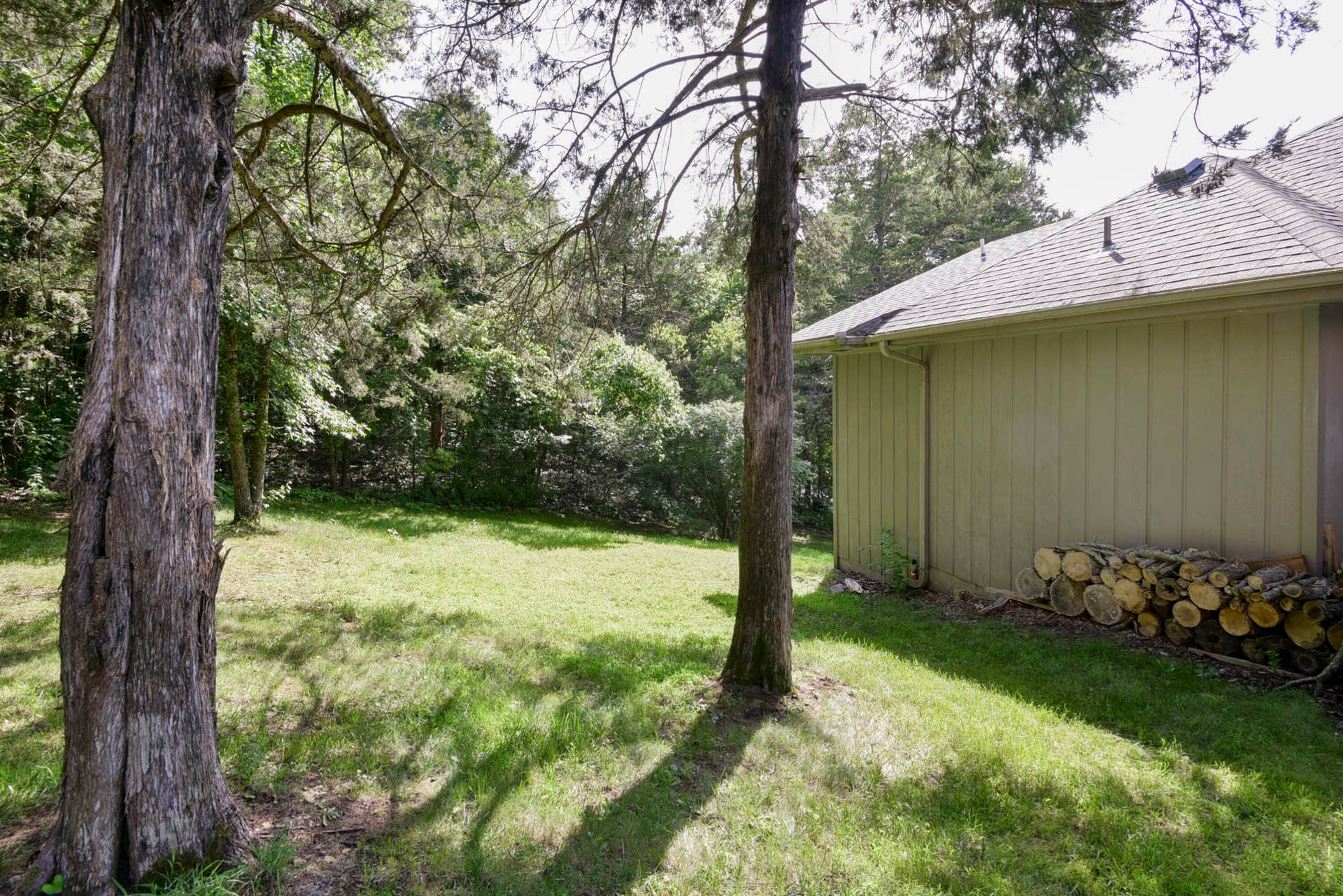 1304 Stoneycreek Lane, Branson West, MO 65737 Side Yard