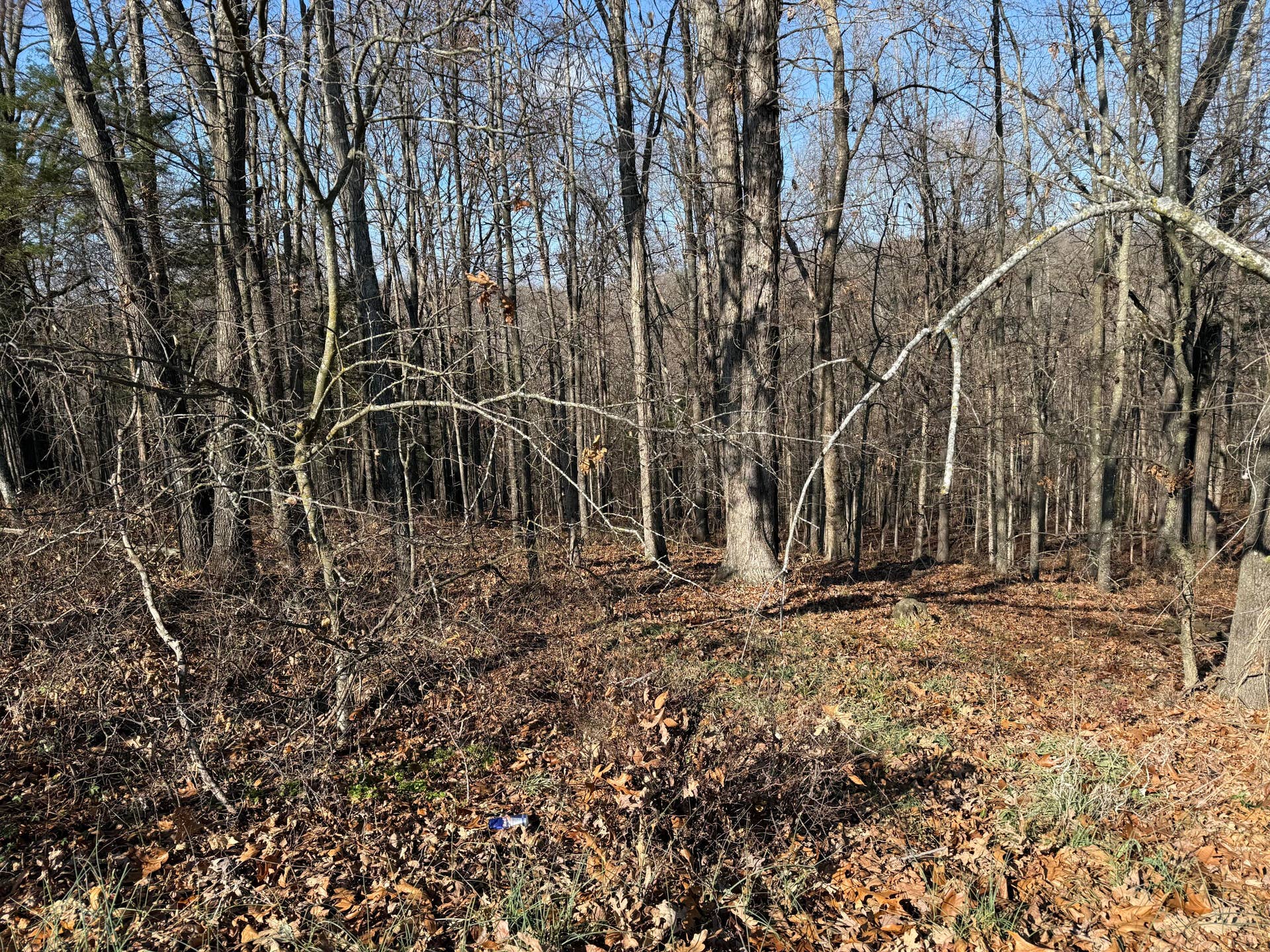 Lot 11 Hillcrest Drive