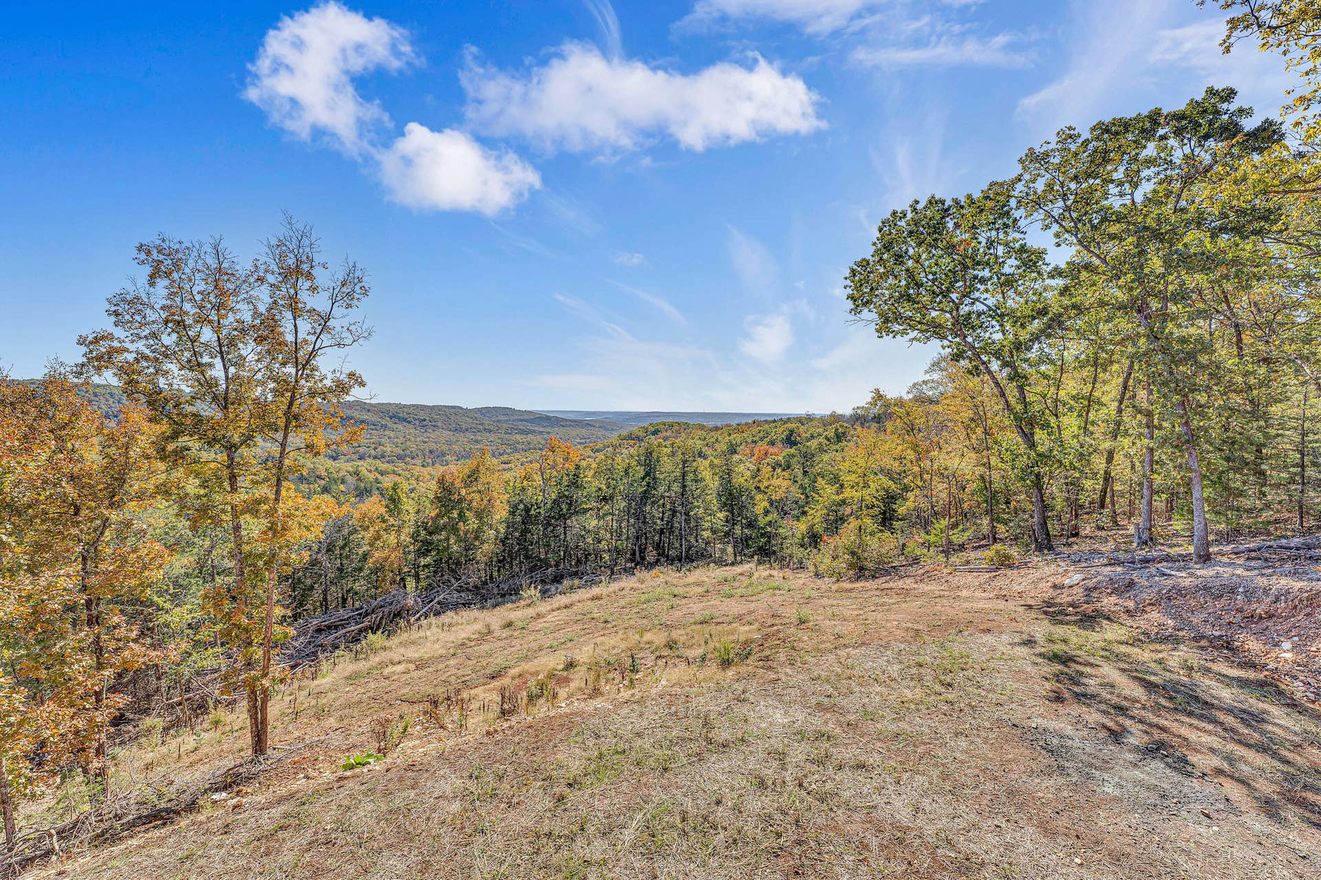 157 Rollin Pt, Branson West, MO 65737 View