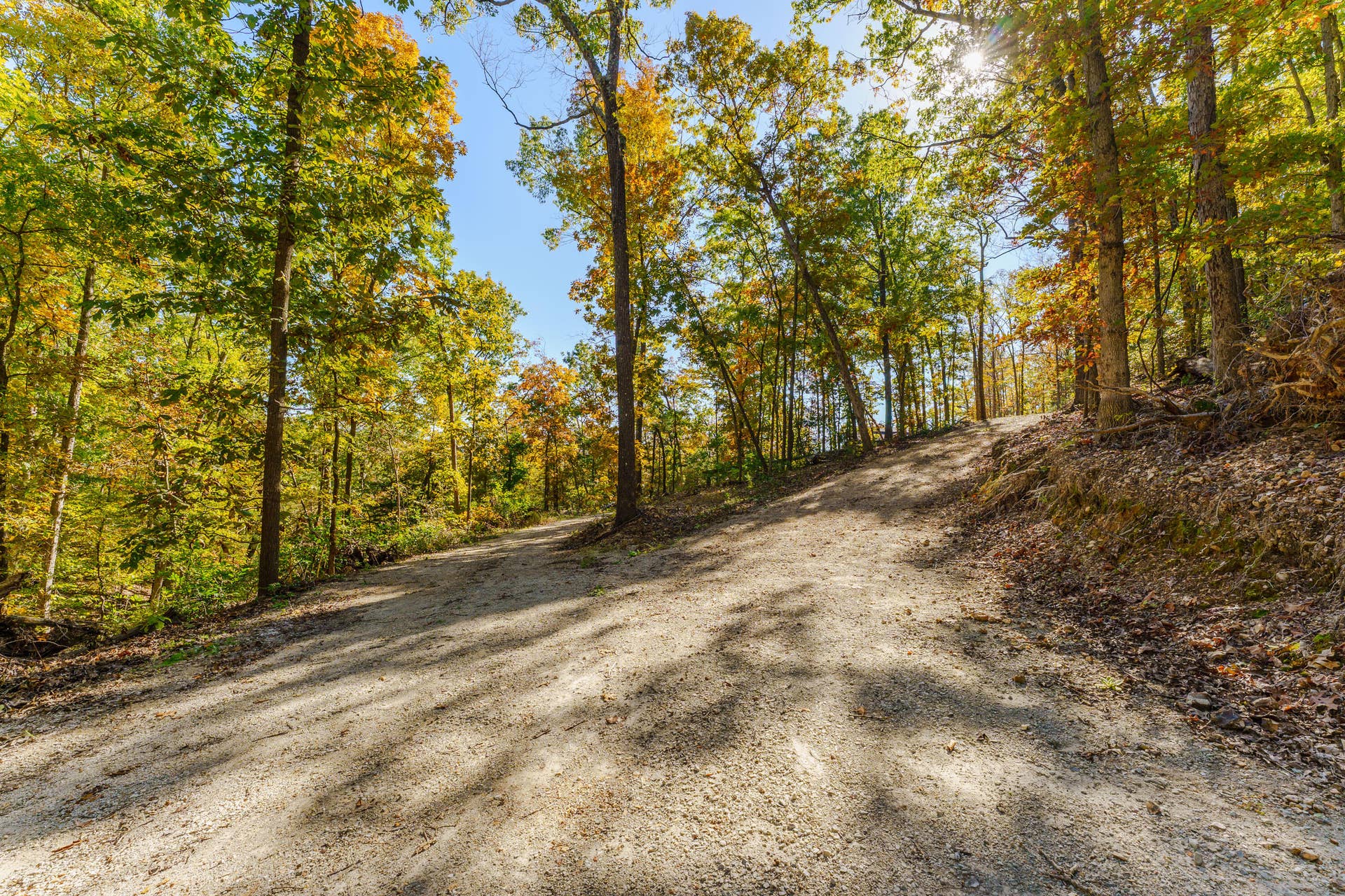 157 Rollin Pt, Branson West, MO 65737 Driveway